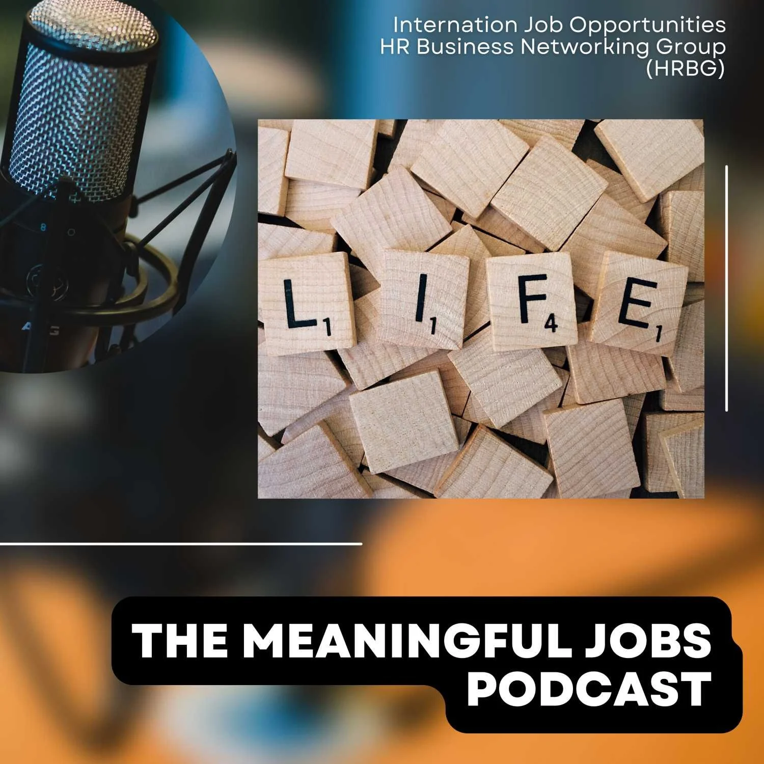 Meaningful Jobs Podcast