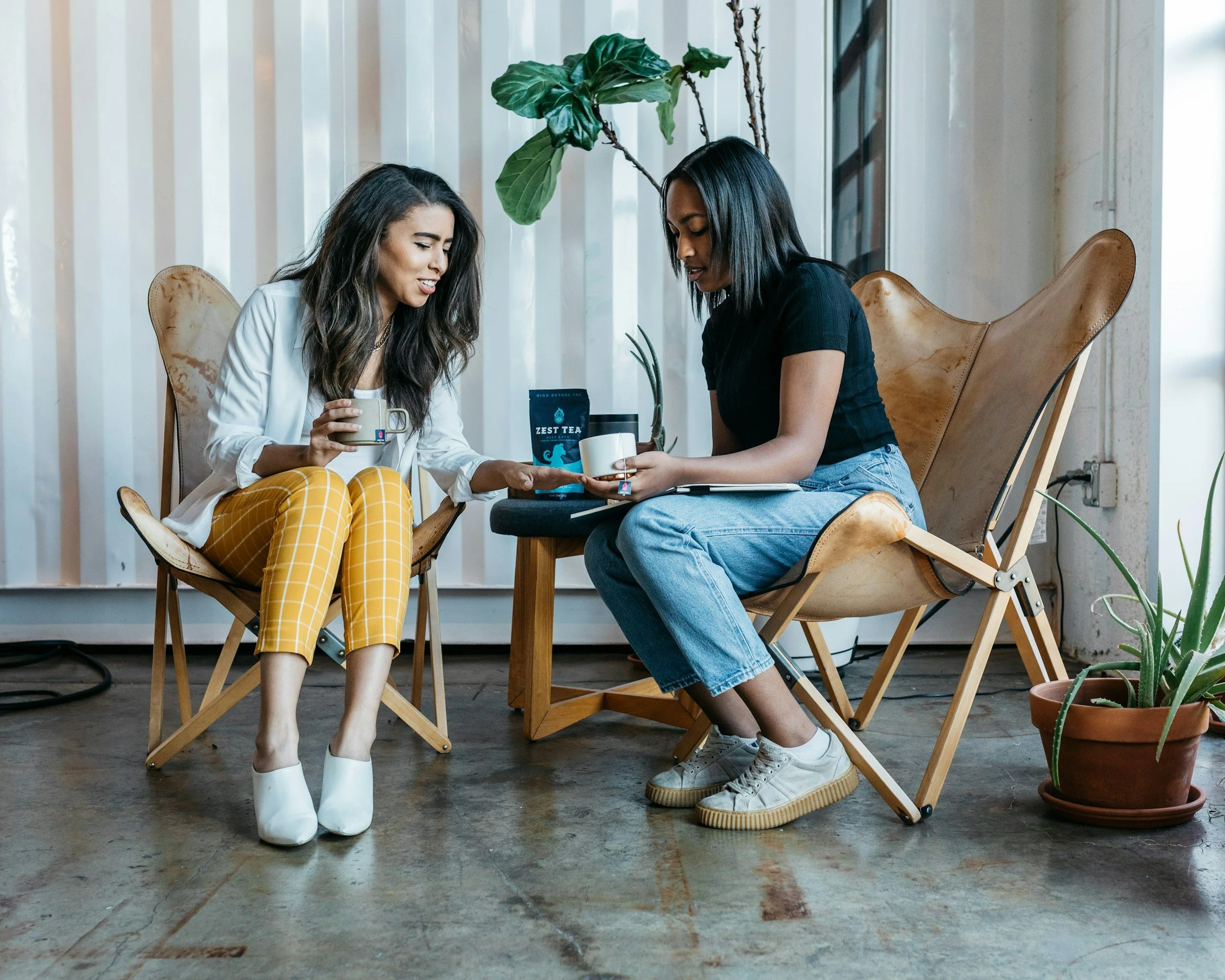 Two women sitting in wooden chairs with a small table between them, exchanging gifts, in a room with vertical white panel walls, wooden floor, and a large potted plant with broad green leaves.
