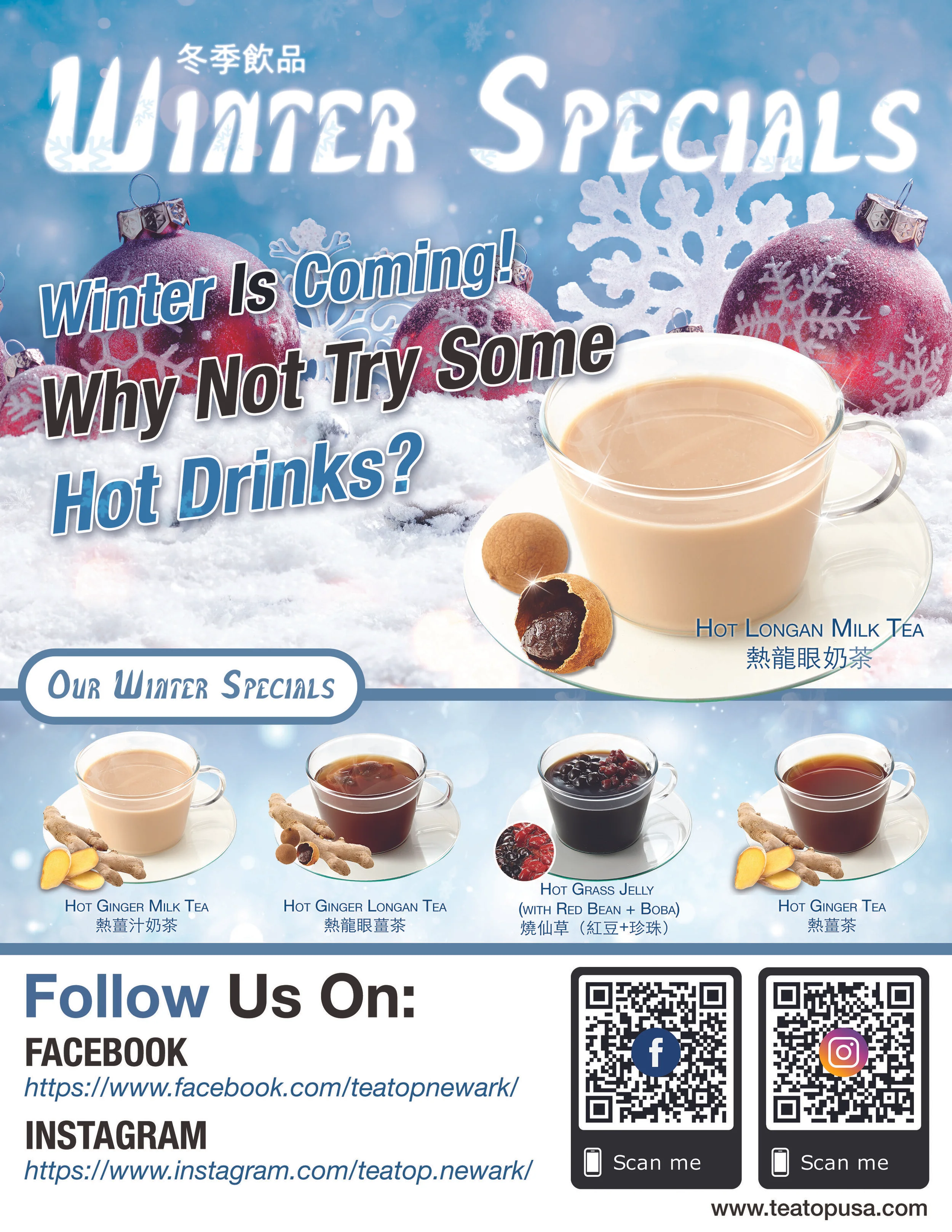 brochure1.jpg