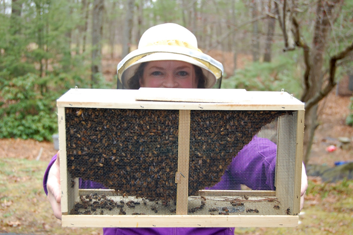Janice-and-bees.jpg