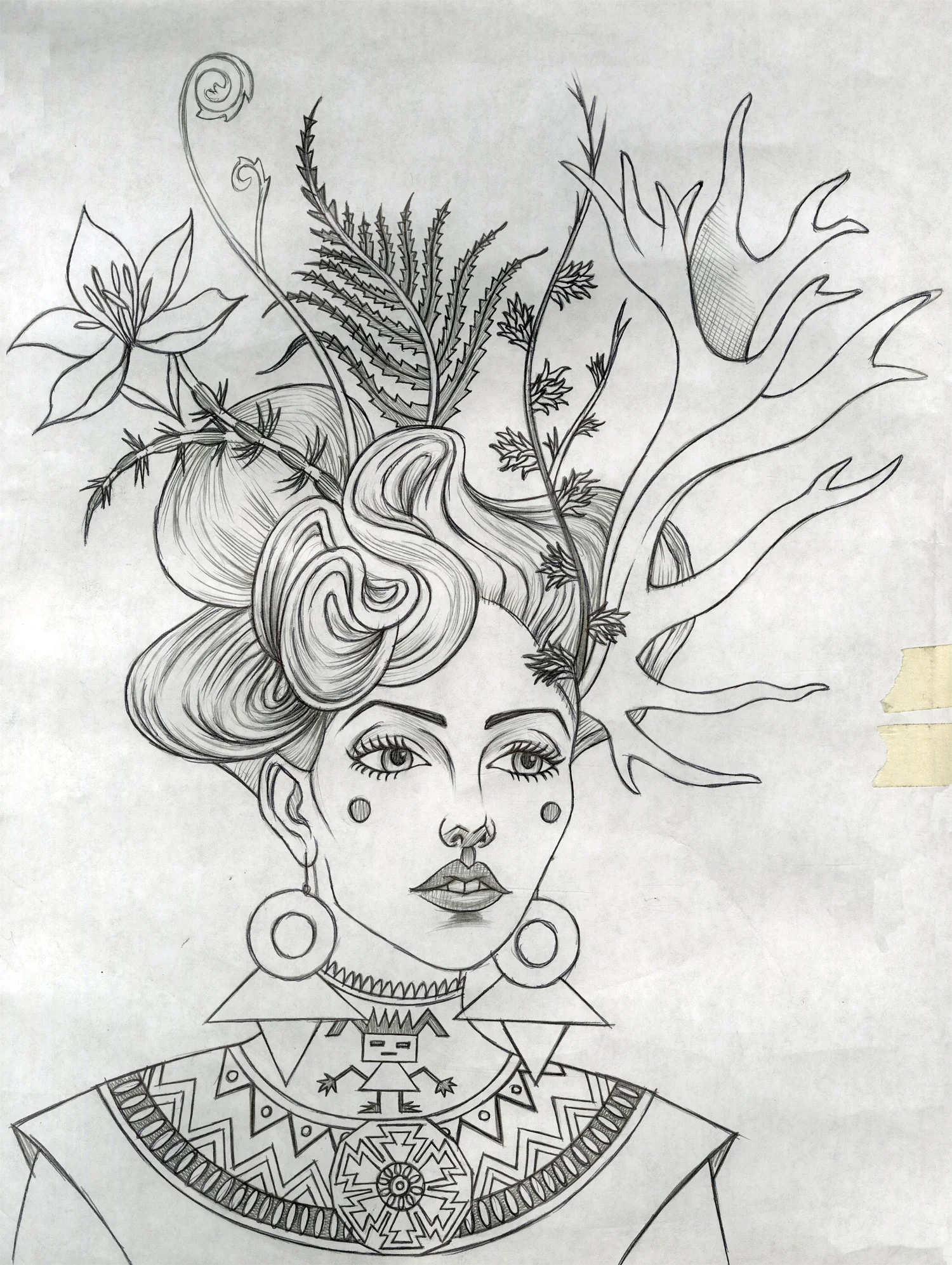 Alstromeria (Drawing)