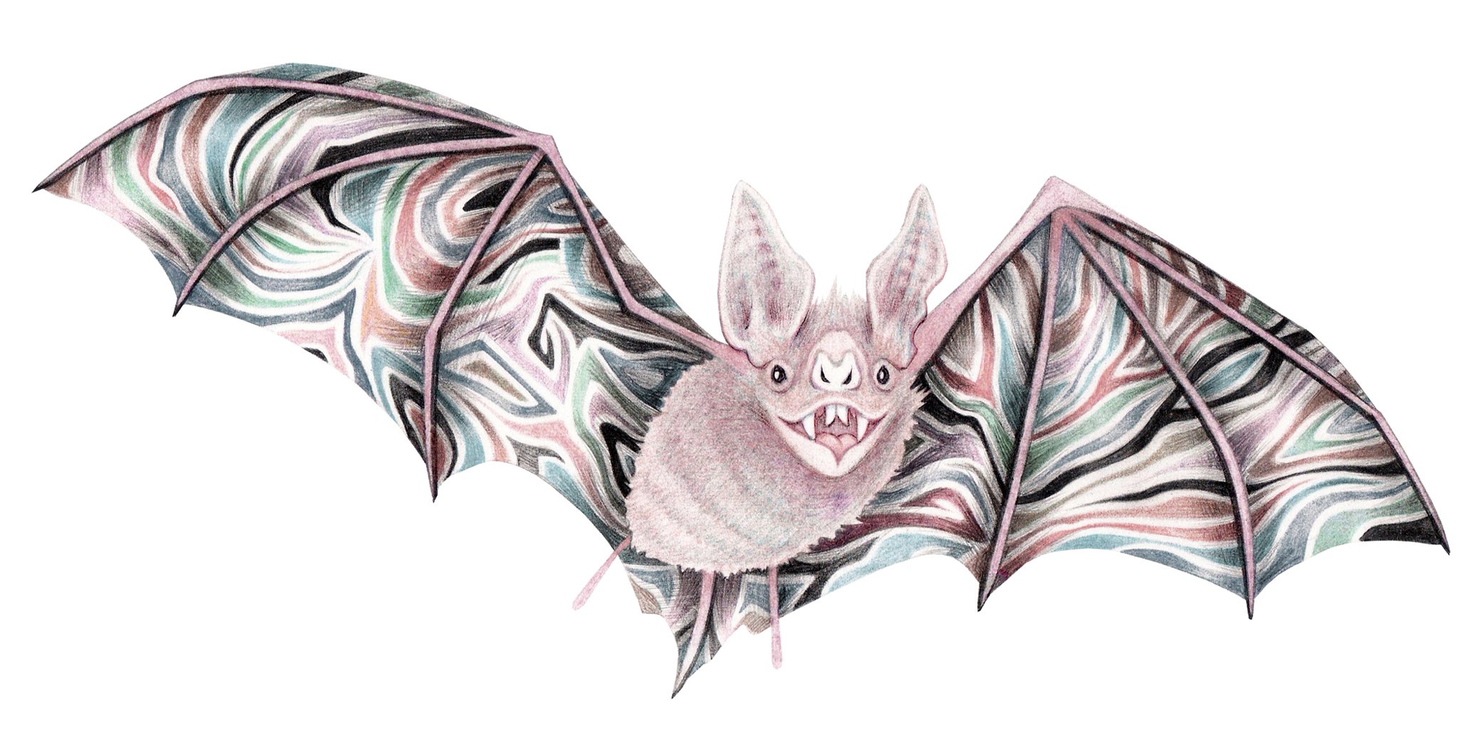 Happy Joyous Bat