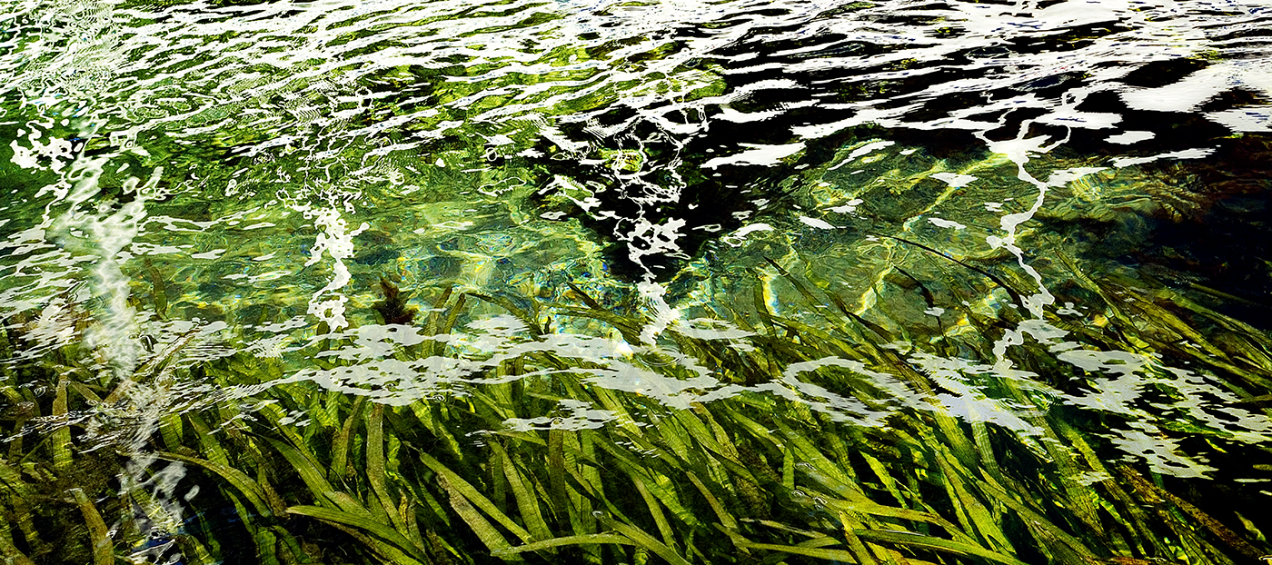 Wakulla Springs