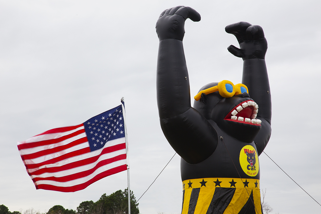 Flag and Gorilla