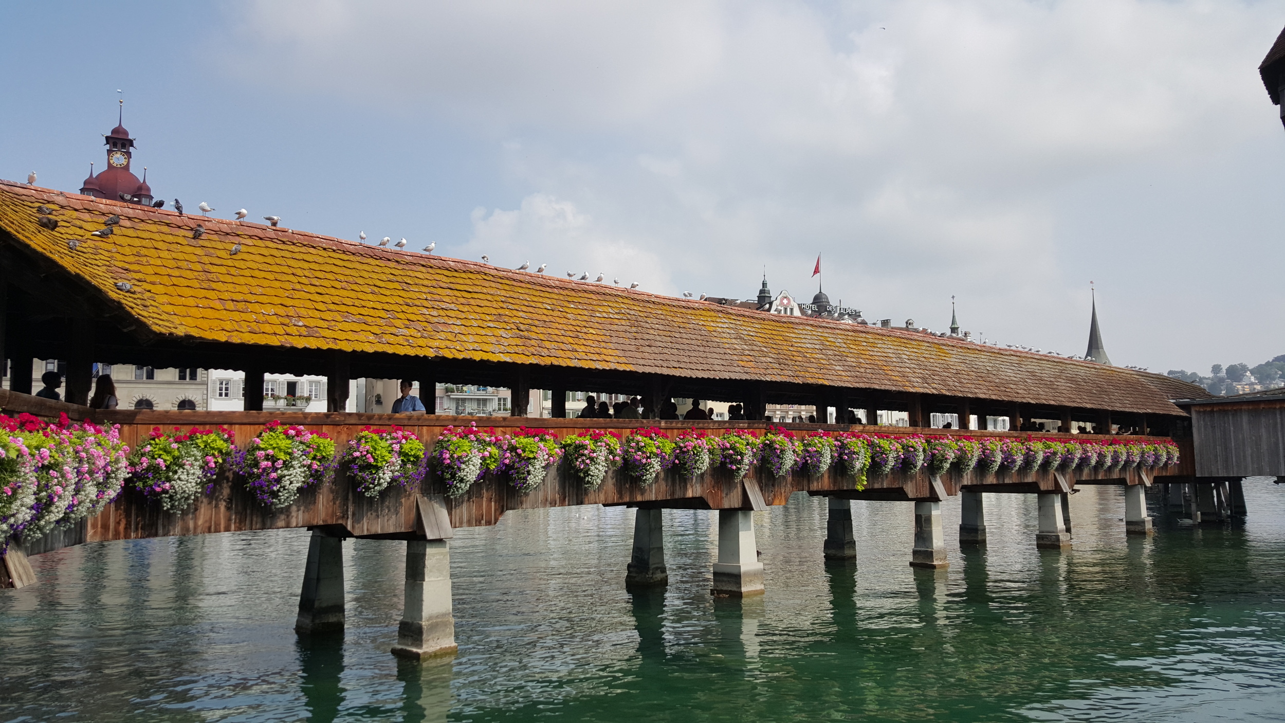20150811_112149.jpg