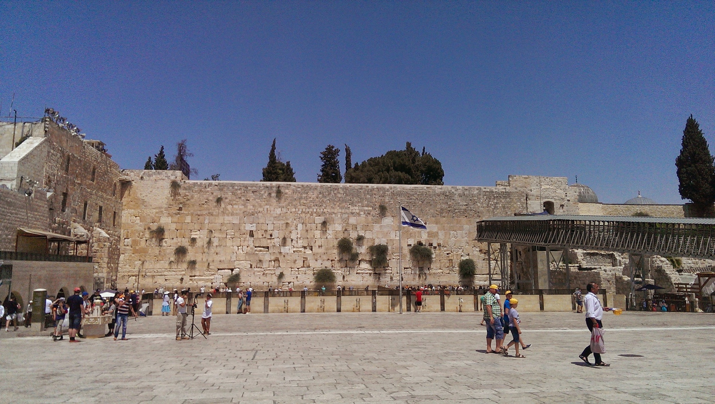 IMAG0104.jpg