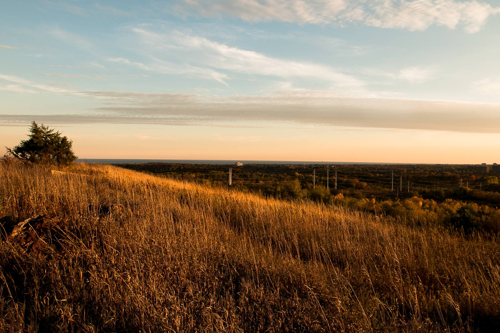 (Scarborough, Toronto.)