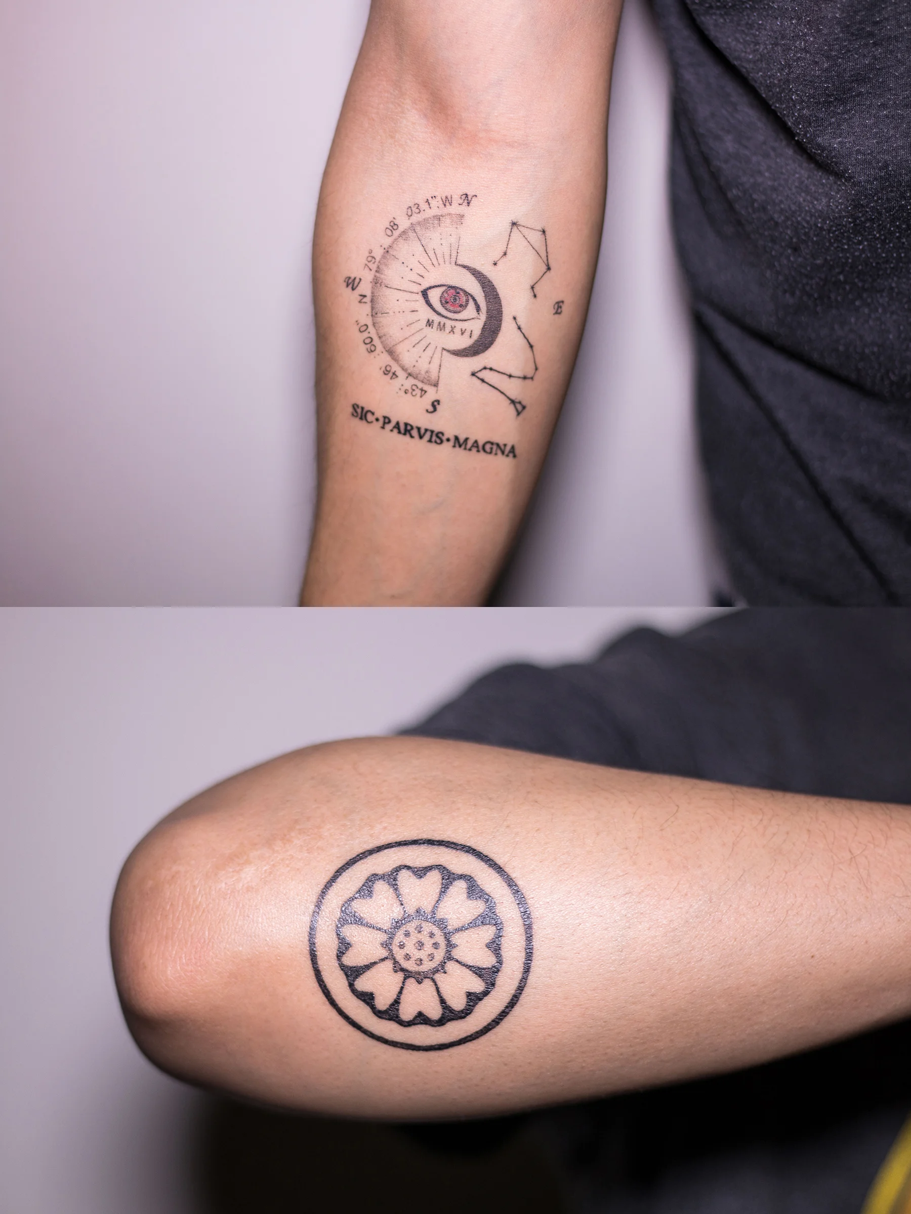 Naughty Dog on Twitter Endure and Survive Sic Parvis Magna Iris shared their understated Uncharted and The Last of Us tattoos with us and we love them Want a chance #36 Naughty Dog on Twitter Endure and Survive Sic Parvis Magna Iris shared their understated Uncharted and The Last of Us tattoos with us and we love them Want a chance