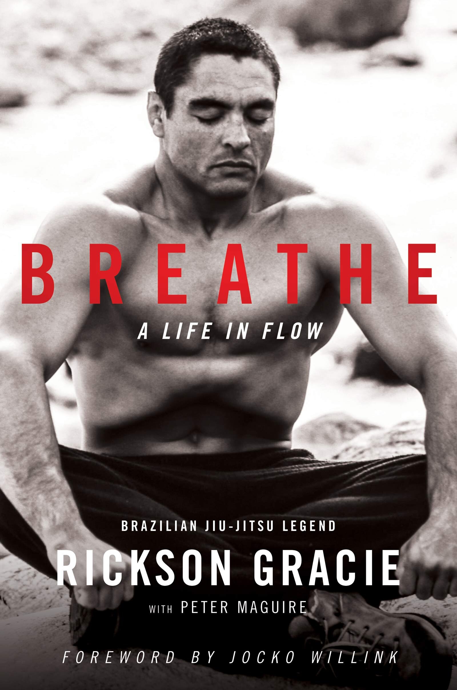 Breathe A Life In Flow.jpg