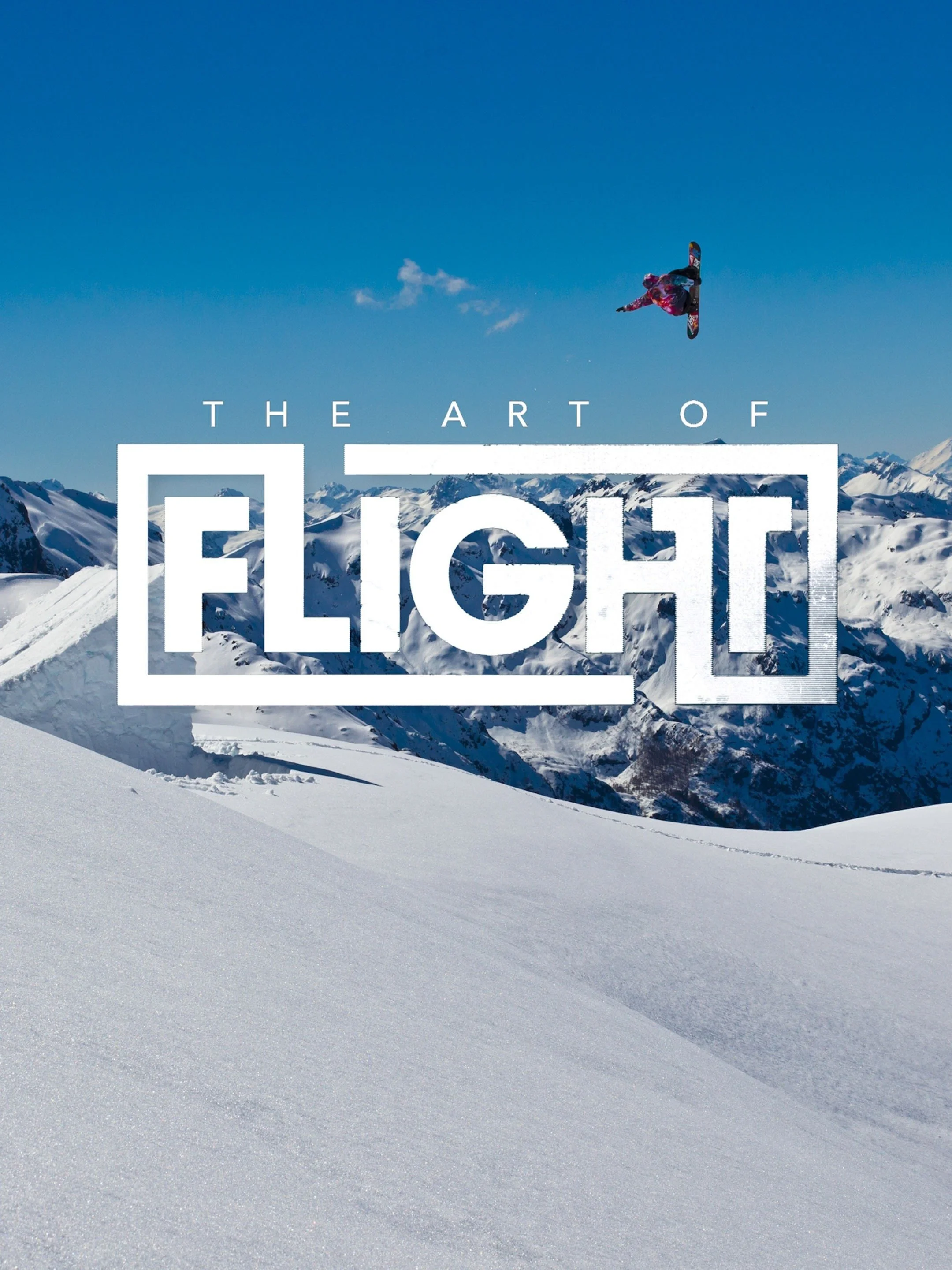 Art of Flight.jpg