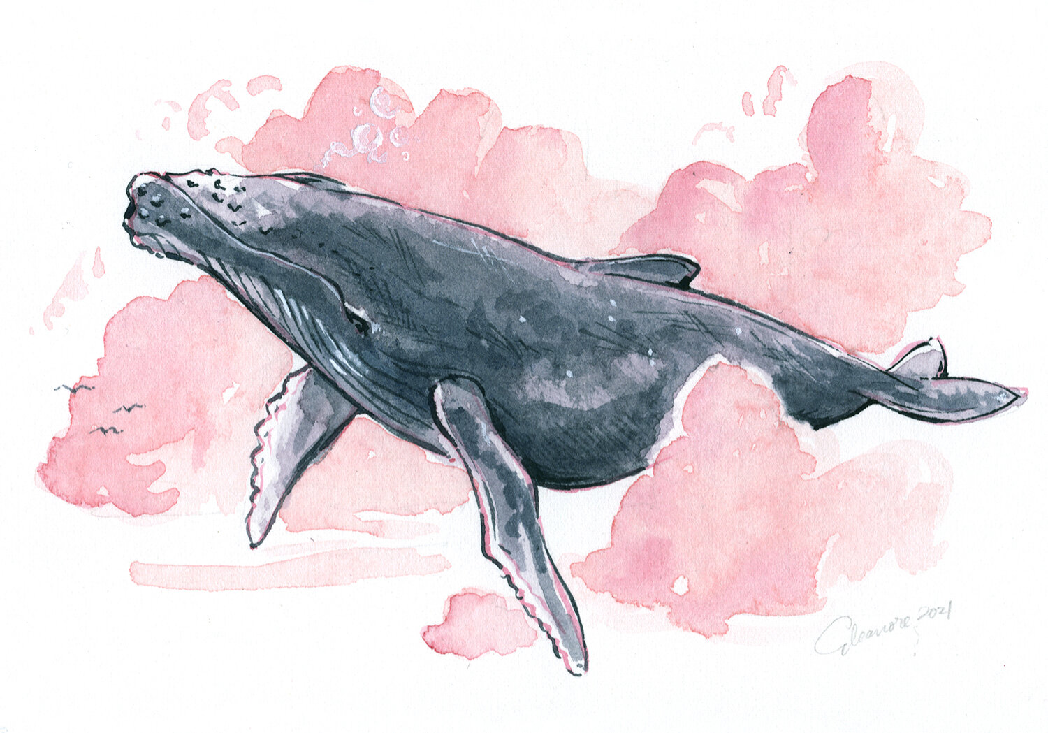 Cloud Whale