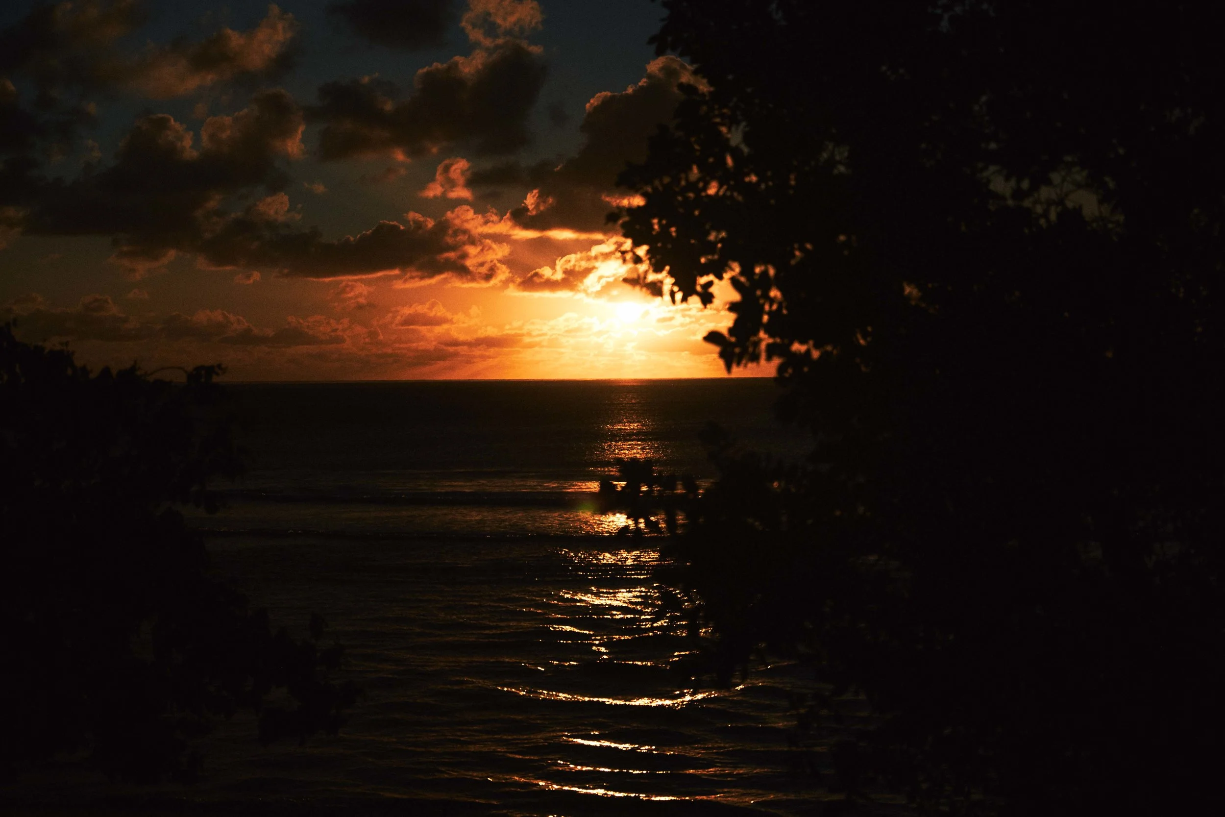 beach - 005.jpg