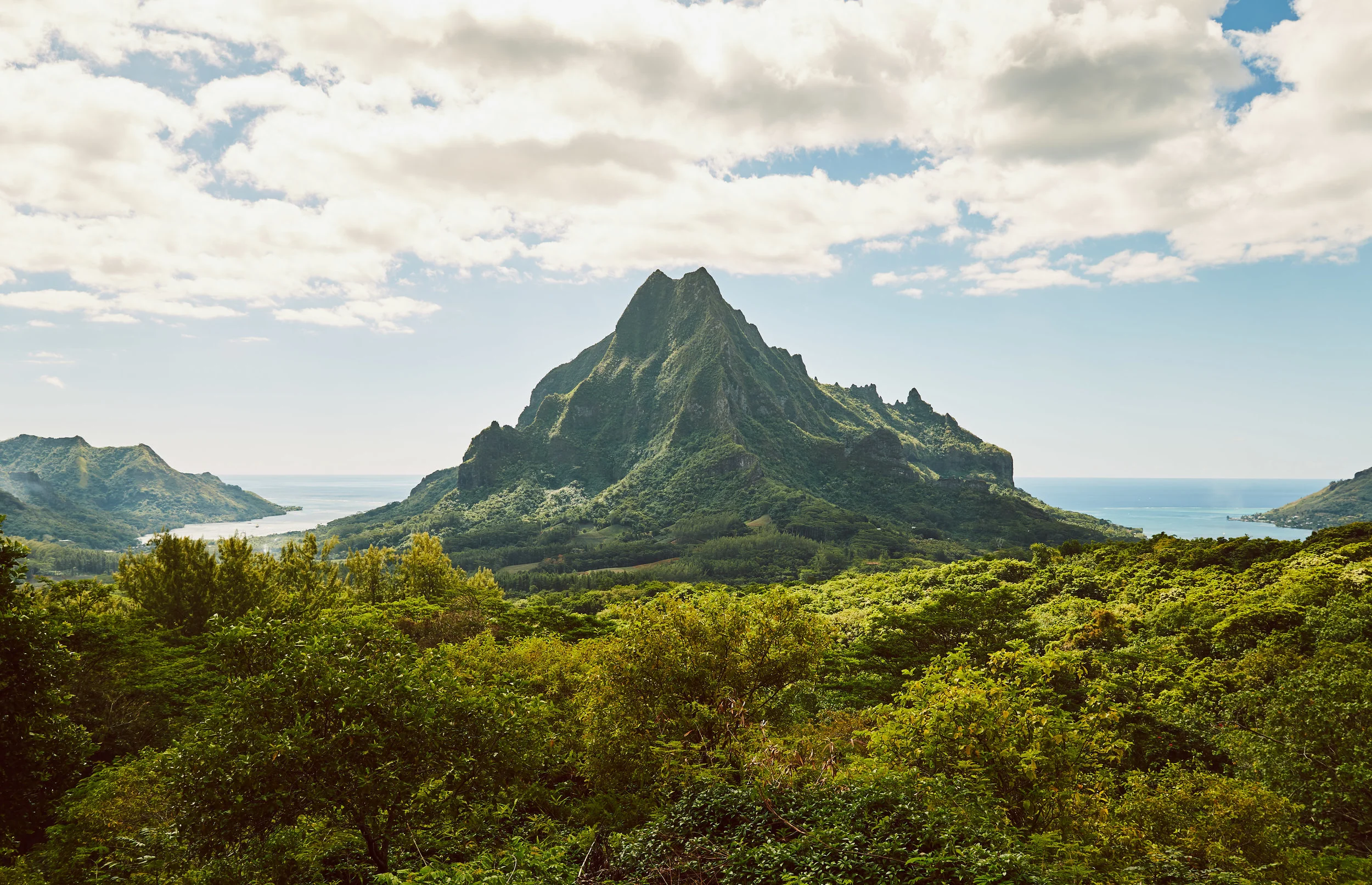Tahiti_IMDTrip_Belvedere_Excursion - 089.jpg