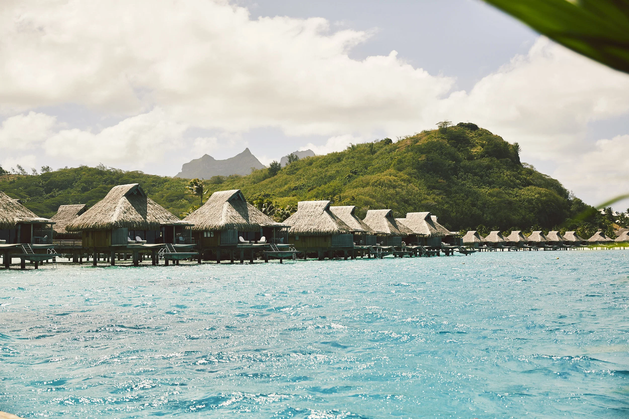 Tahiti_IMDTrip_Shark_Ray_Excursion - 353.jpg