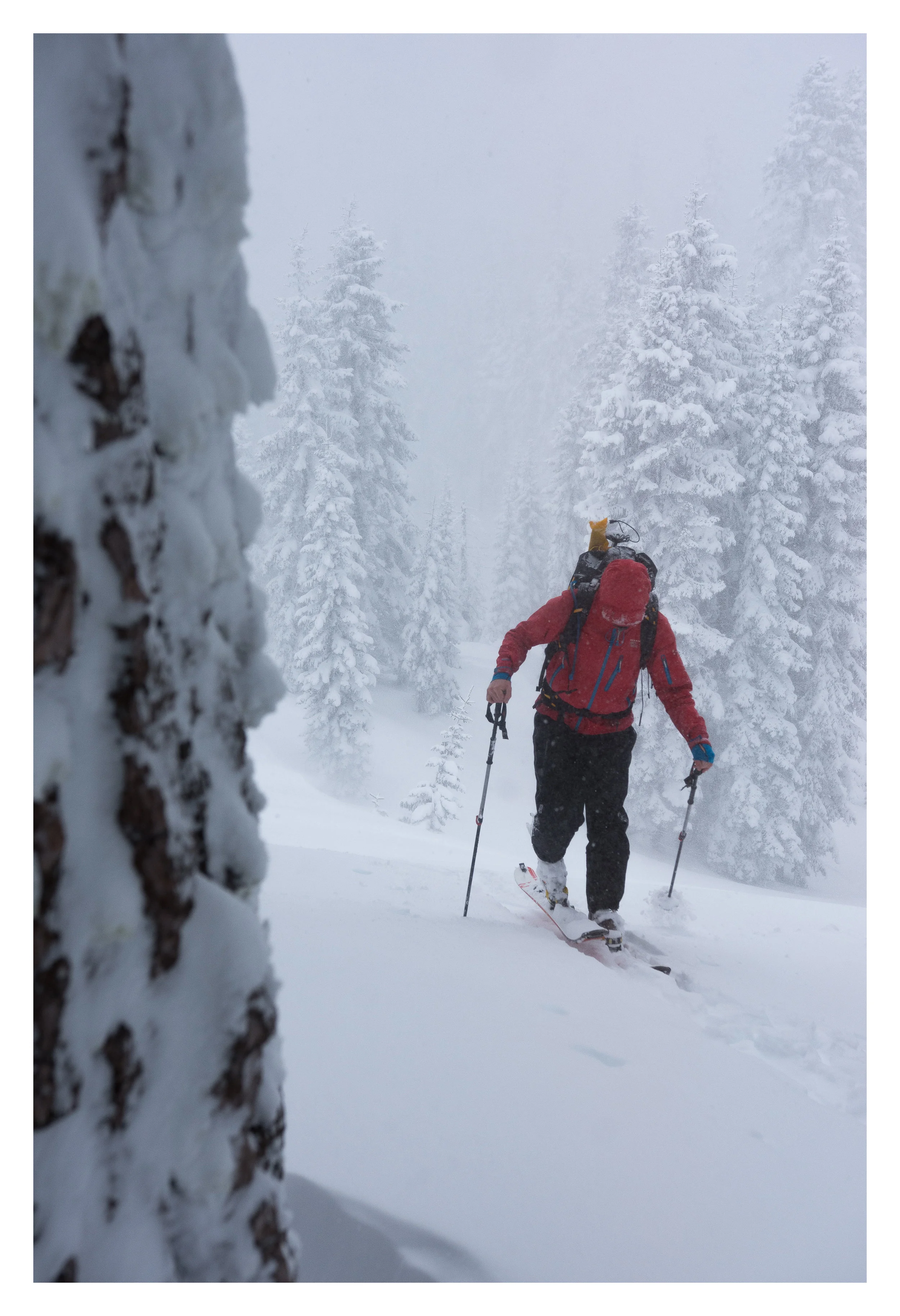 mtufts_snowsports16.jpg