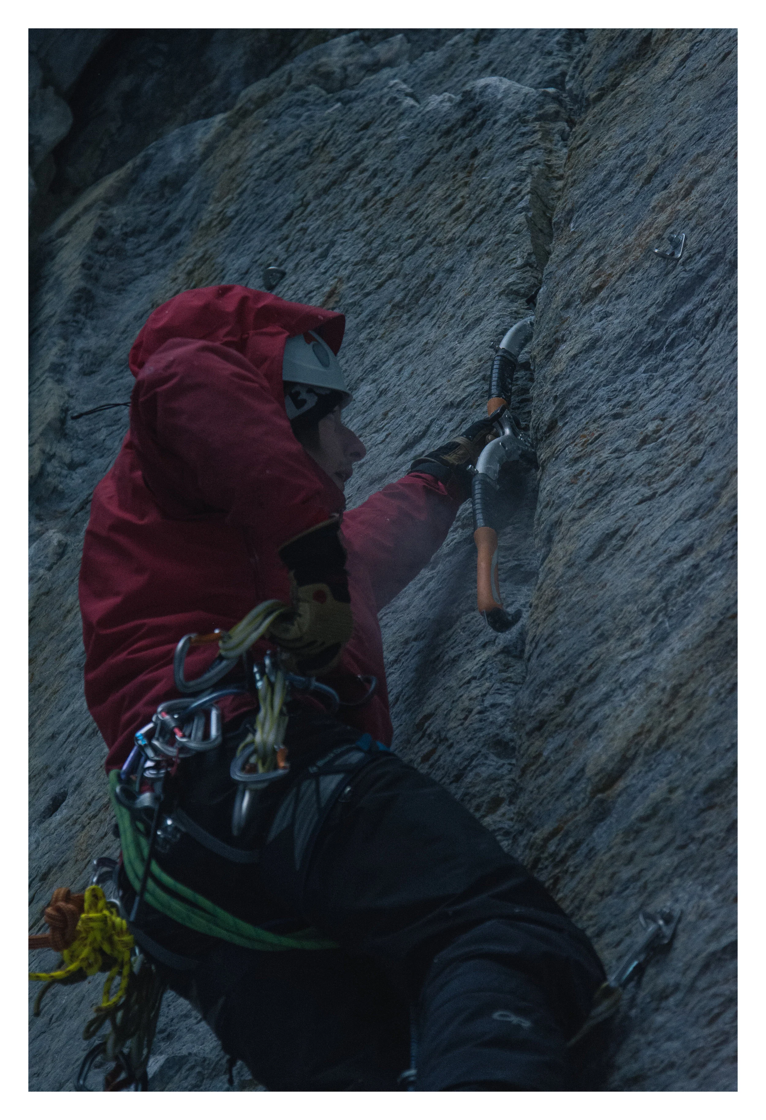 border_mtufts_climbing1.jpg