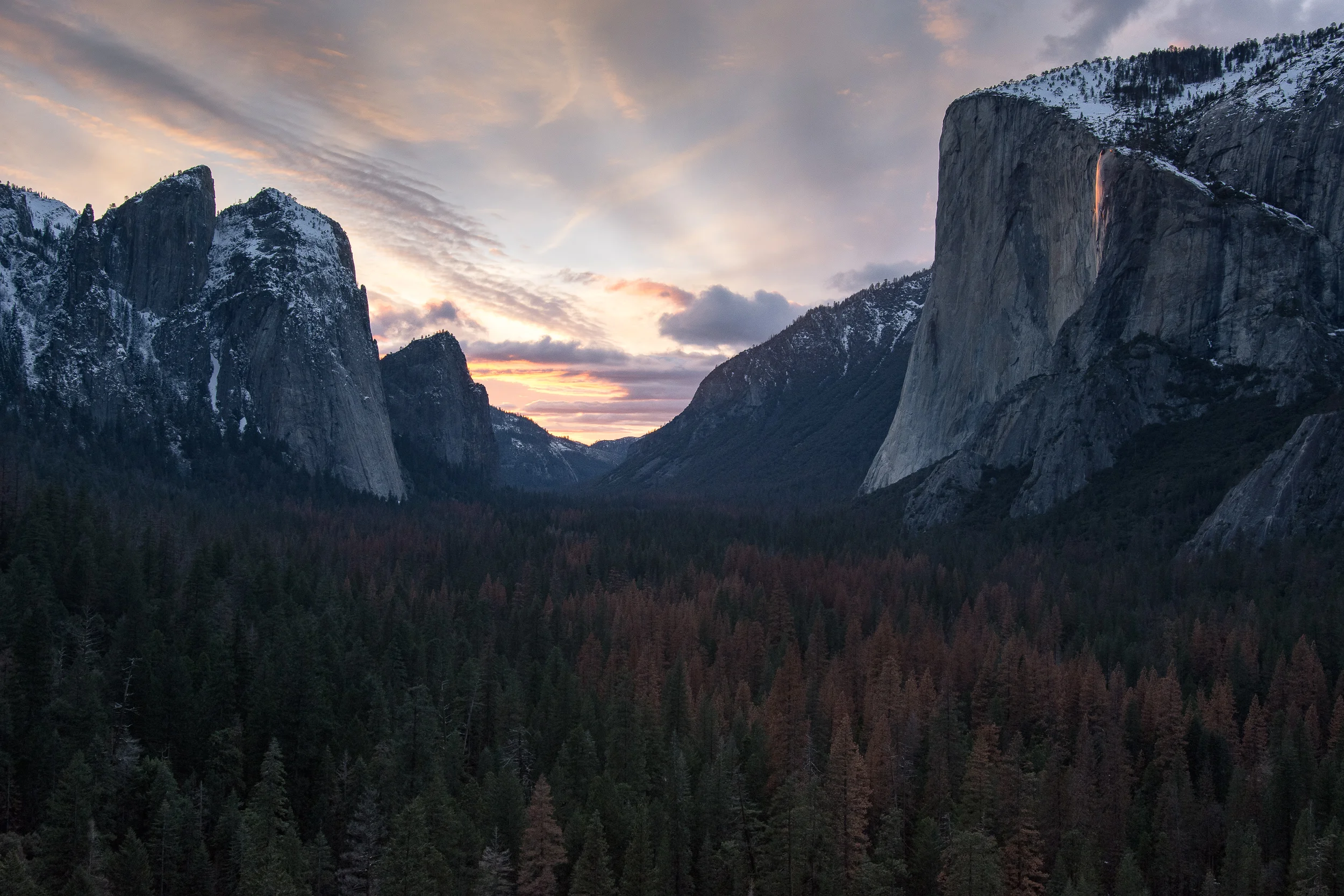 mtufts_california_resized-5.jpg