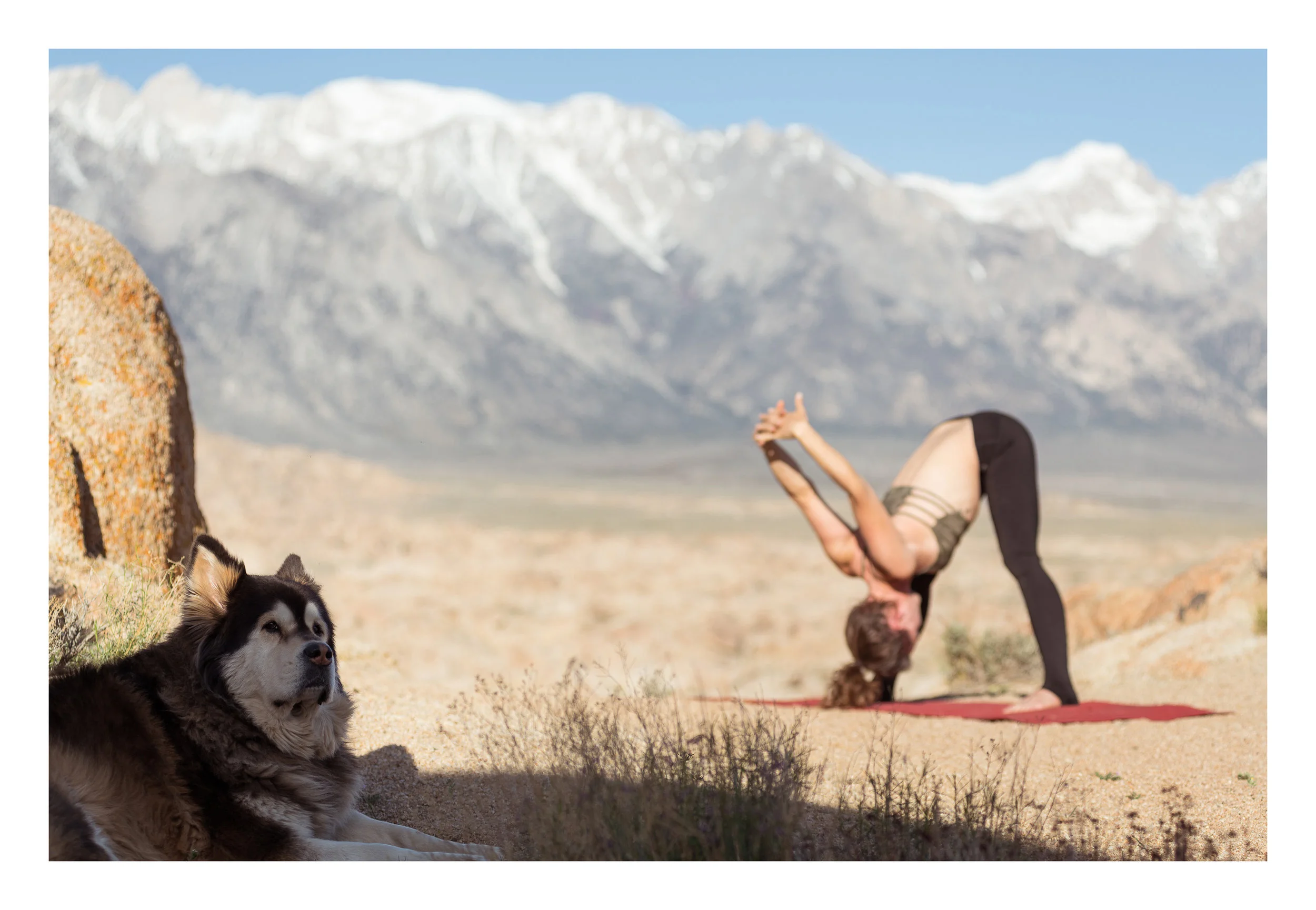 mtufts_activelifestyle_border_44.jpg