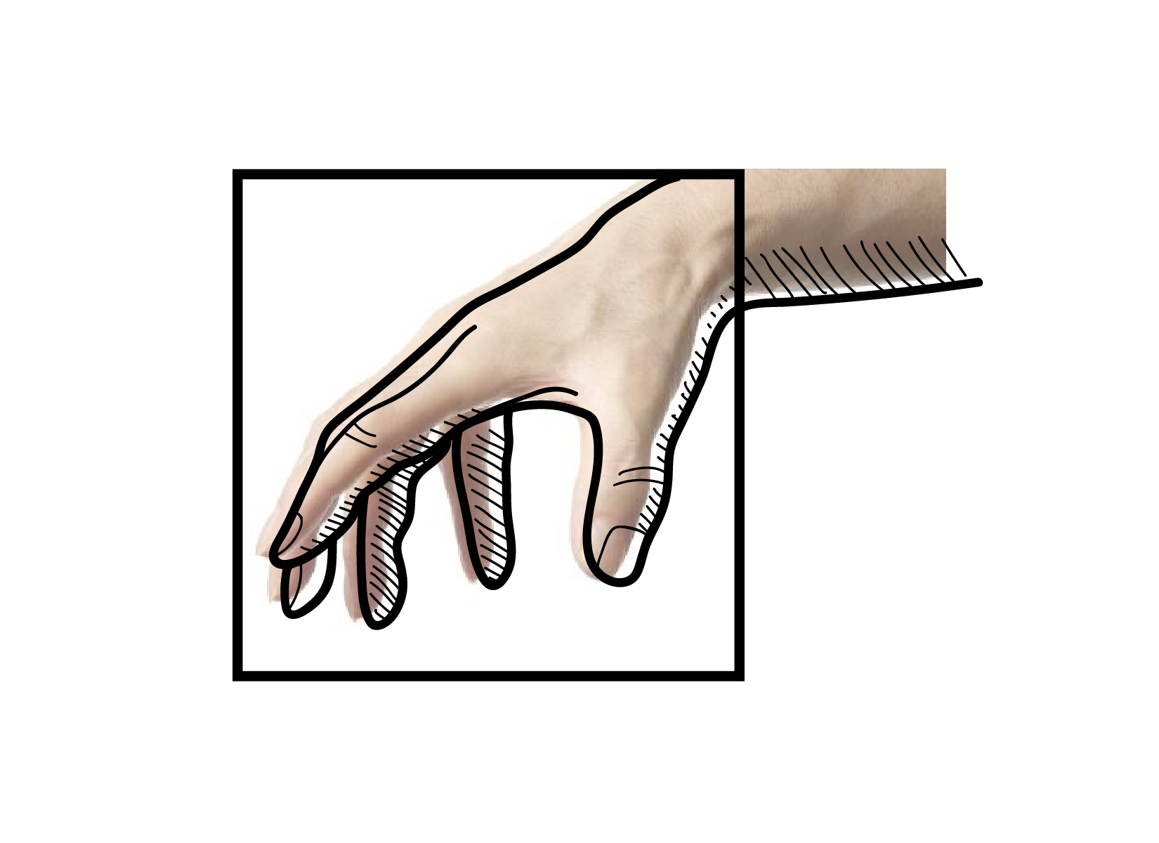 hand drawn-01.jpg
