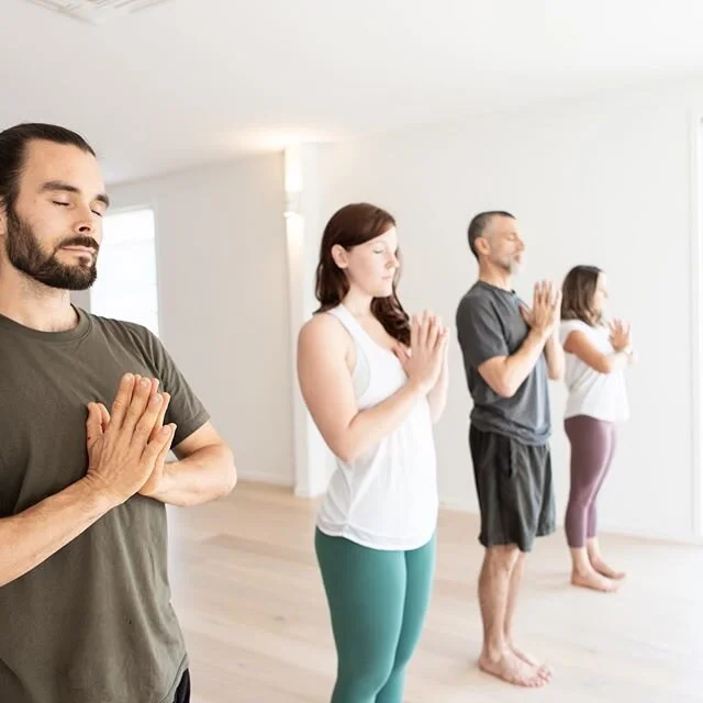 Great news for the Camp Hill Lovers 💛

We now have the sweetest line up of classes for you on a Thursday with 6 classes for your choosing pleasure and there is something for everyone!
✨5am Express Flow (45min) with Matty @the.yoga.matt ✨6am Vinyasa with Tanya @tanyamaddenmovement ✨9.30am Yang to Yin with Amy @amywbliss .
✨4.45pm Slow Flow with Marty @martincollyermove ✨6pm Vinyasa with Marty @martincollyermove . ✨7.30pm Relax with Satya @satyalynn 
#yogabliss #thursdayyoga #brisbaneyoga