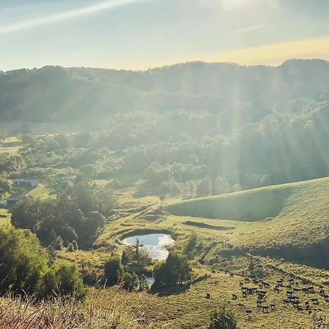 Breathing Space and a weekend to Nourish your Soul.
Join @amywbliss and @alison_potts_innatebeing for this stunning yoga and meditation retreat at Wybalena Organic Farm, June 4-7th.
Only a few spots remaining! 🧡