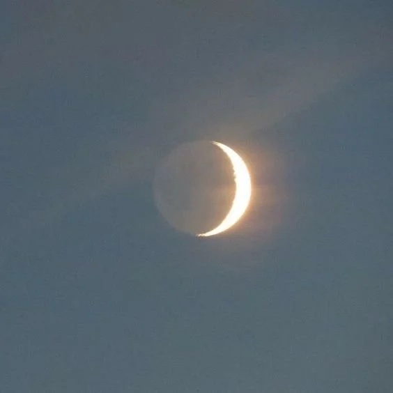 In Tune with the Moon