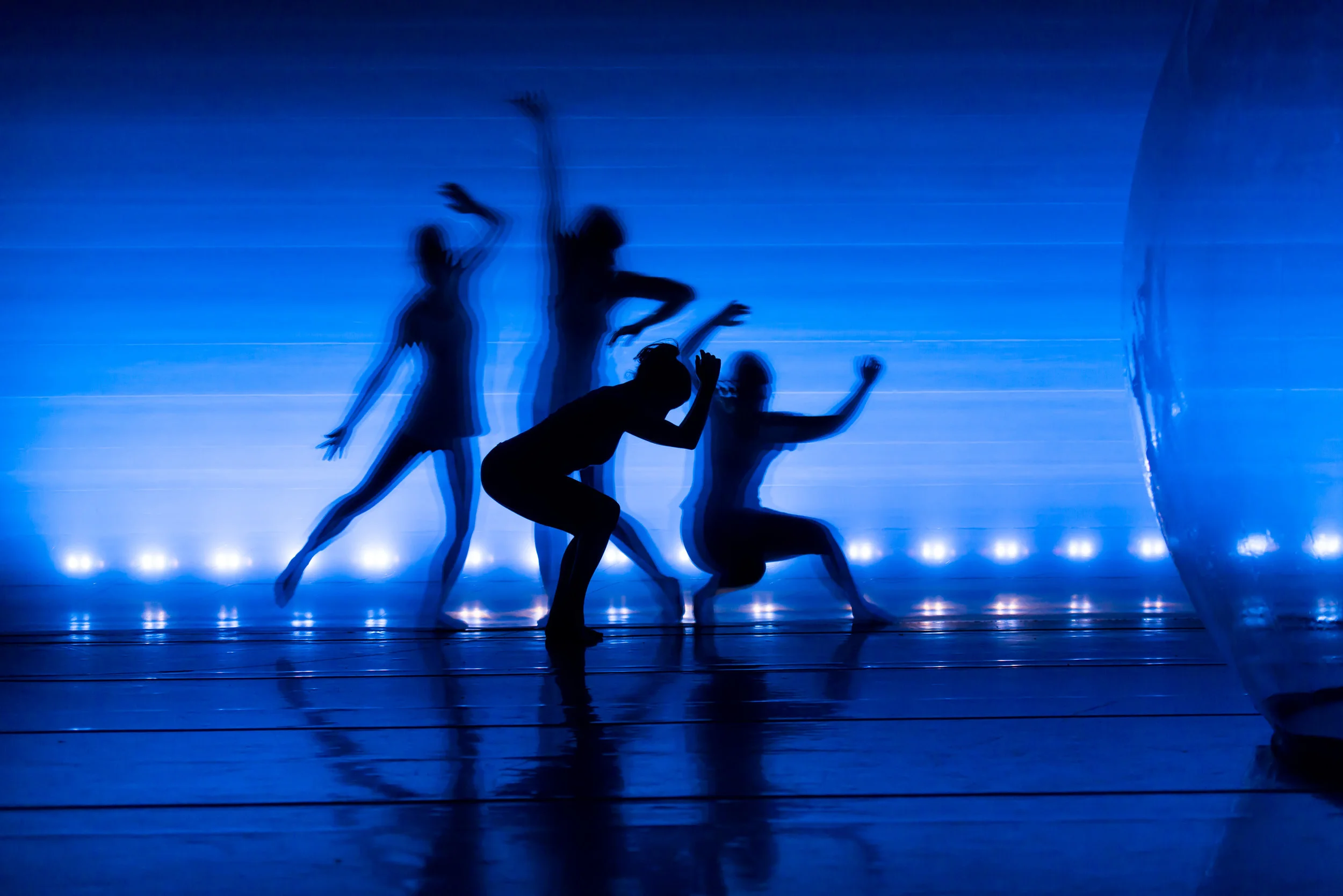пятёрка танцует. Fascinating shadows. танцы артхаус. балетный зал фото. Turn negative projections dance.