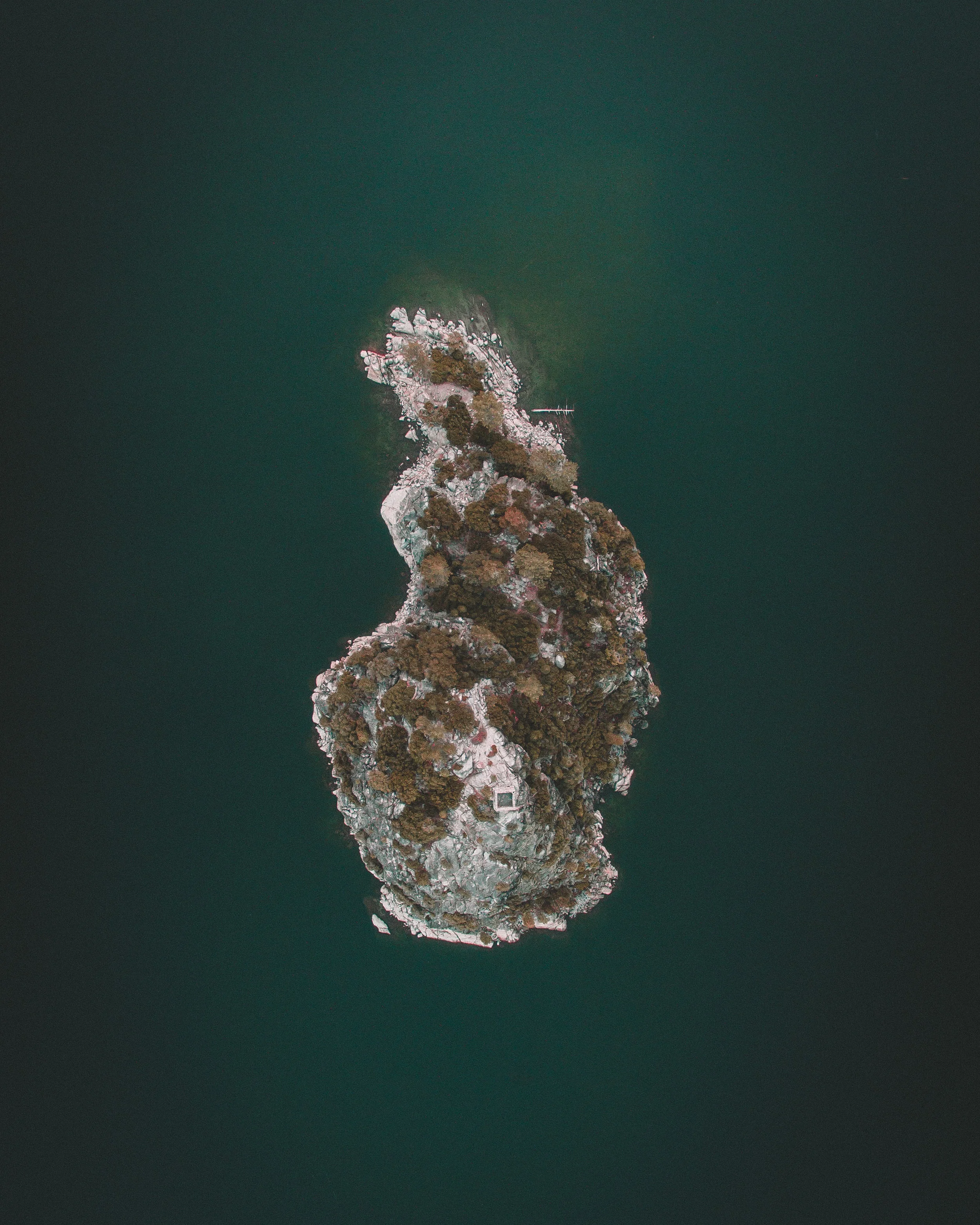DJI_0017 11.19.36 AM.jpg