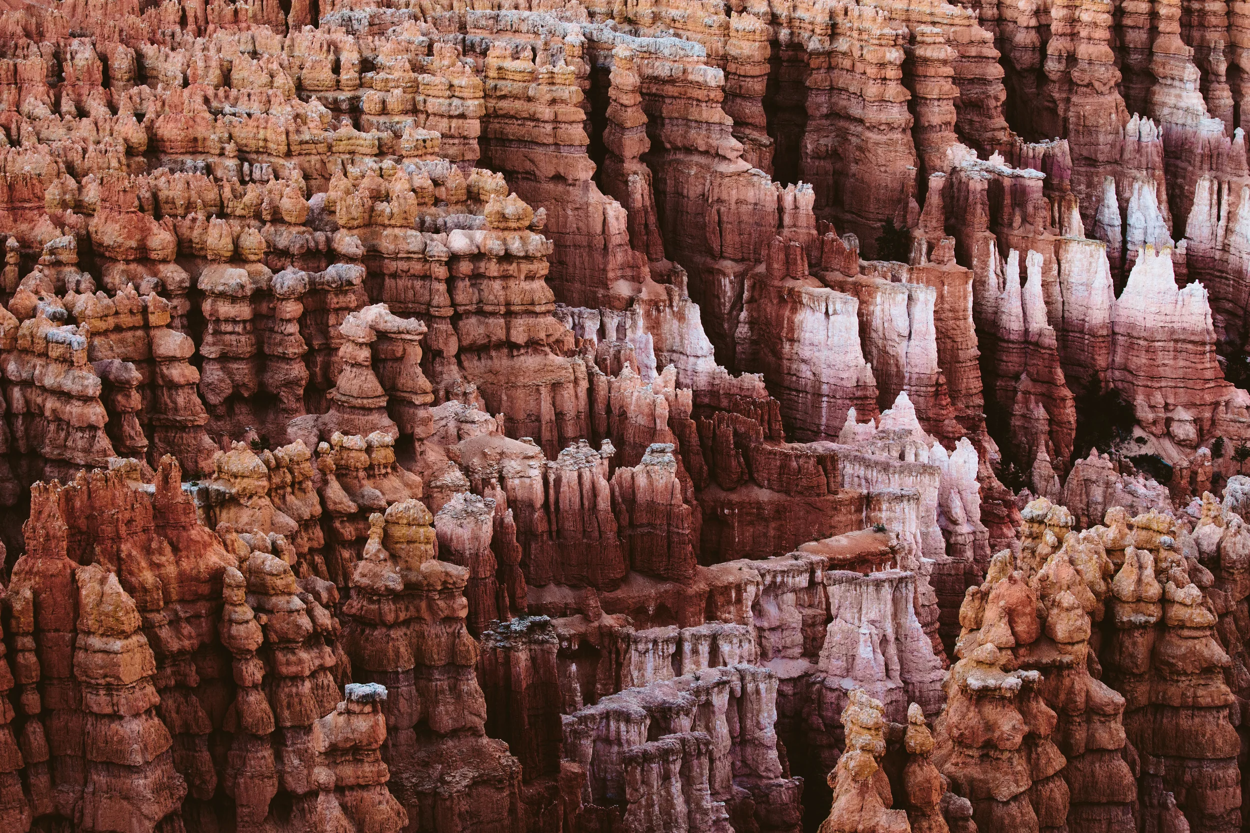 Hoodoos Bryce Canyon, UT
