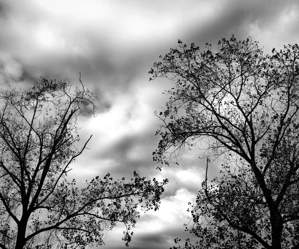 Portfolio02.jpg