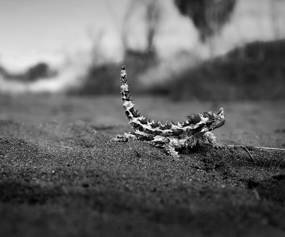 Portfolio06.jpg