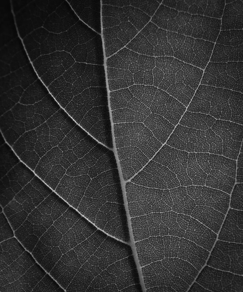 Portfolio07.jpg