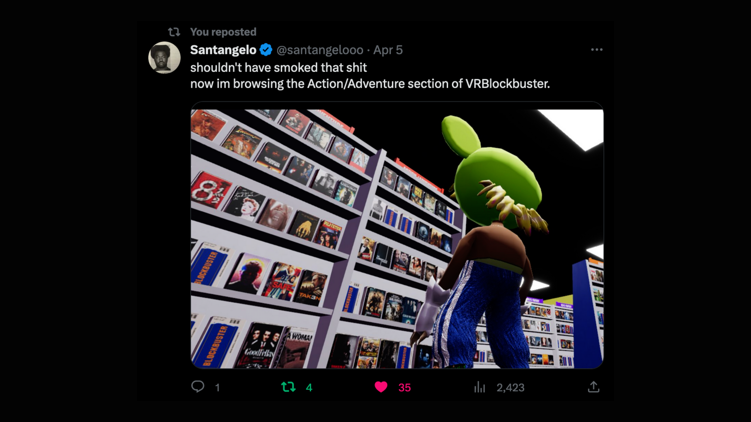 rohilaniruth.com - AdWorld - VHS Section.png