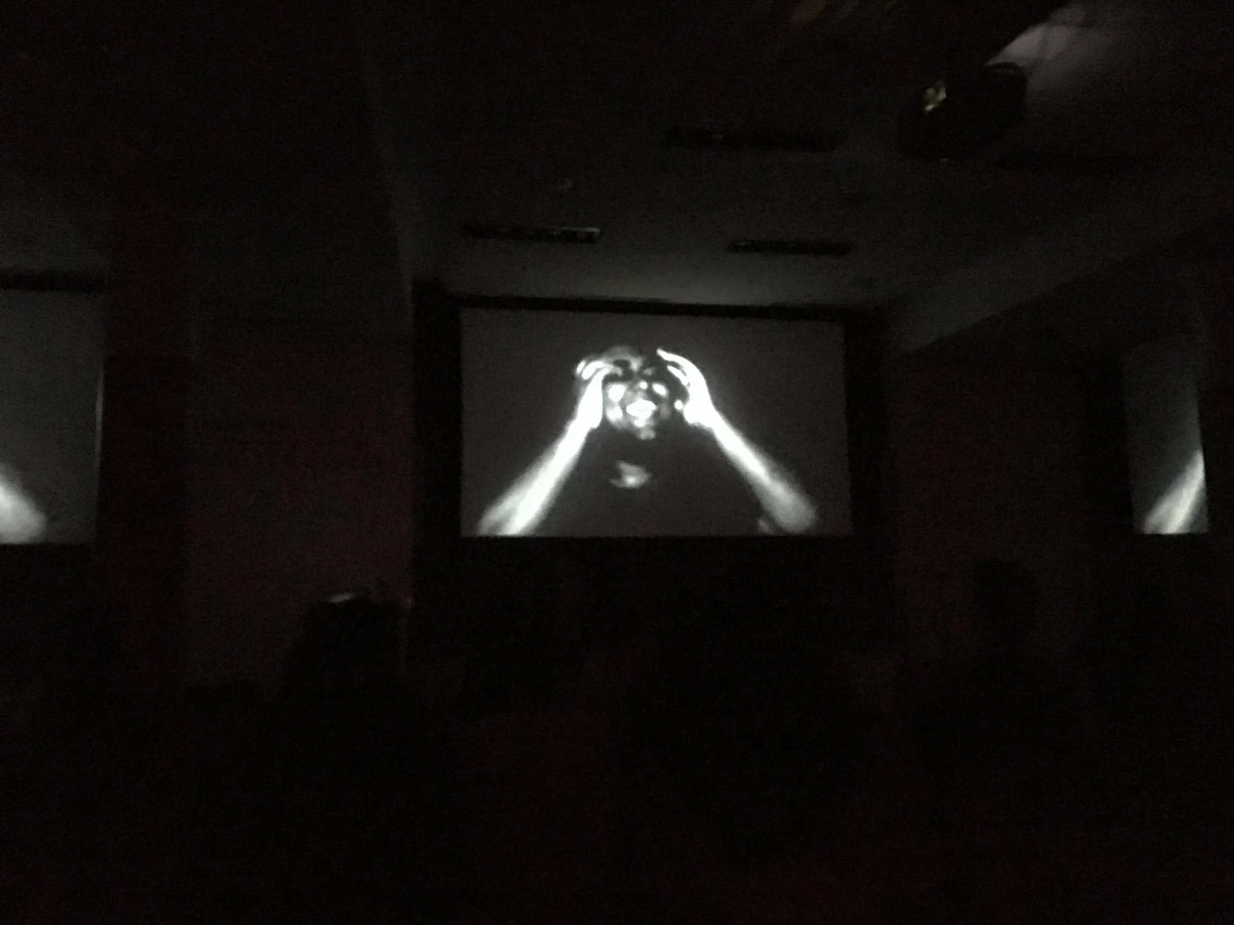 Rohil's Video Screening at Ruff Cuts 3.JPG