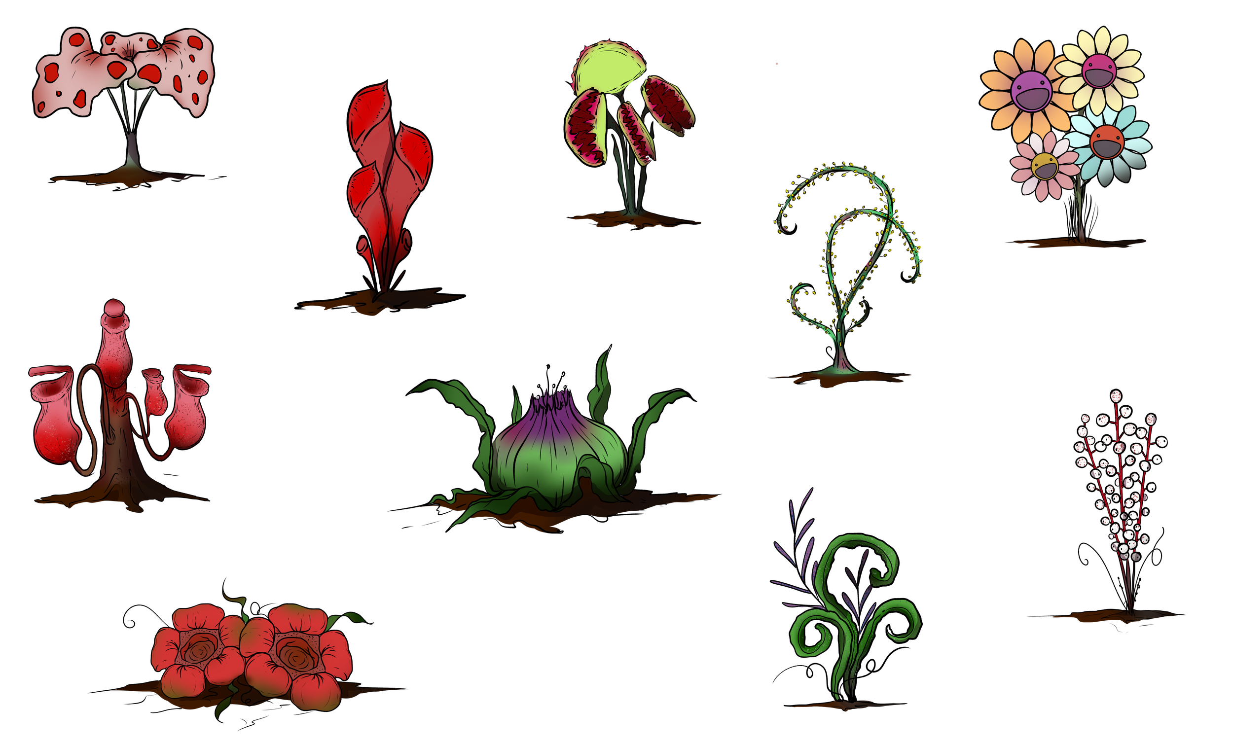 Plants.png