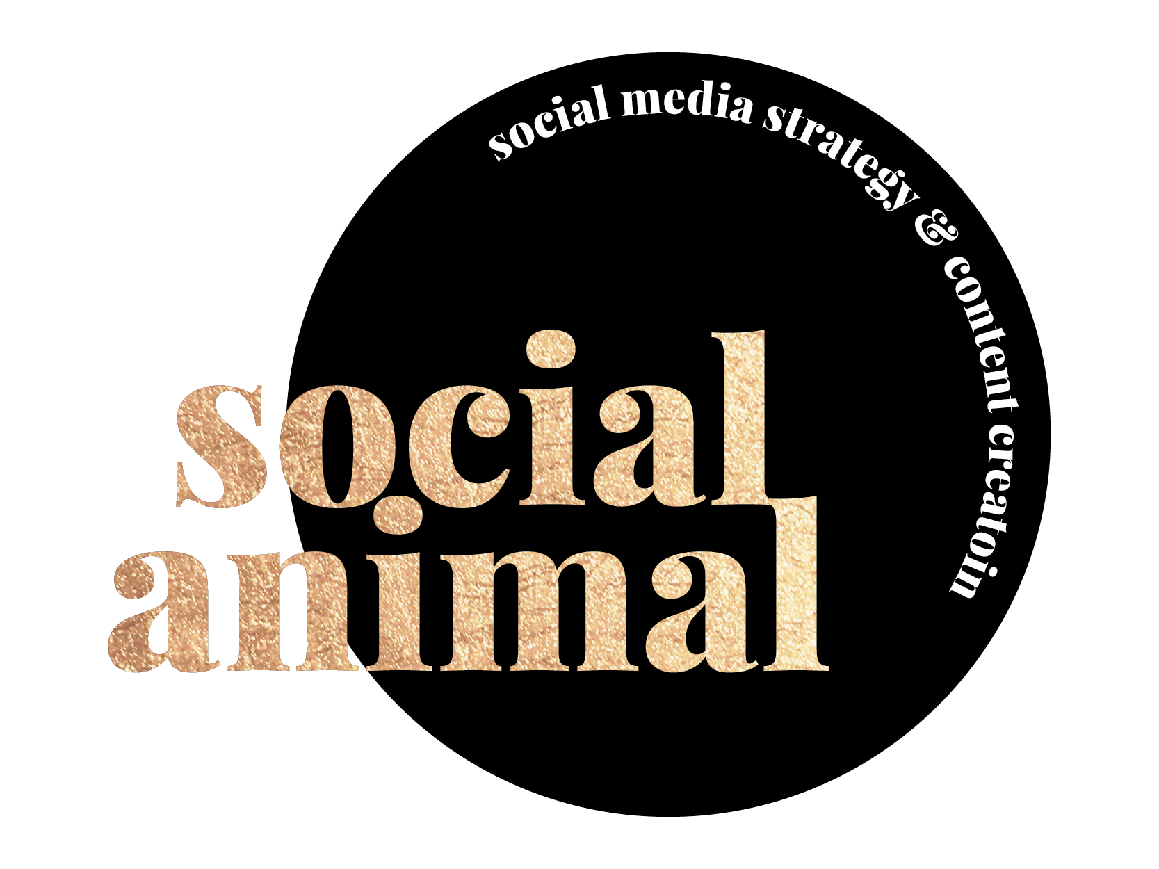 WebsiteGraphics_Services_SocialAnimal.png