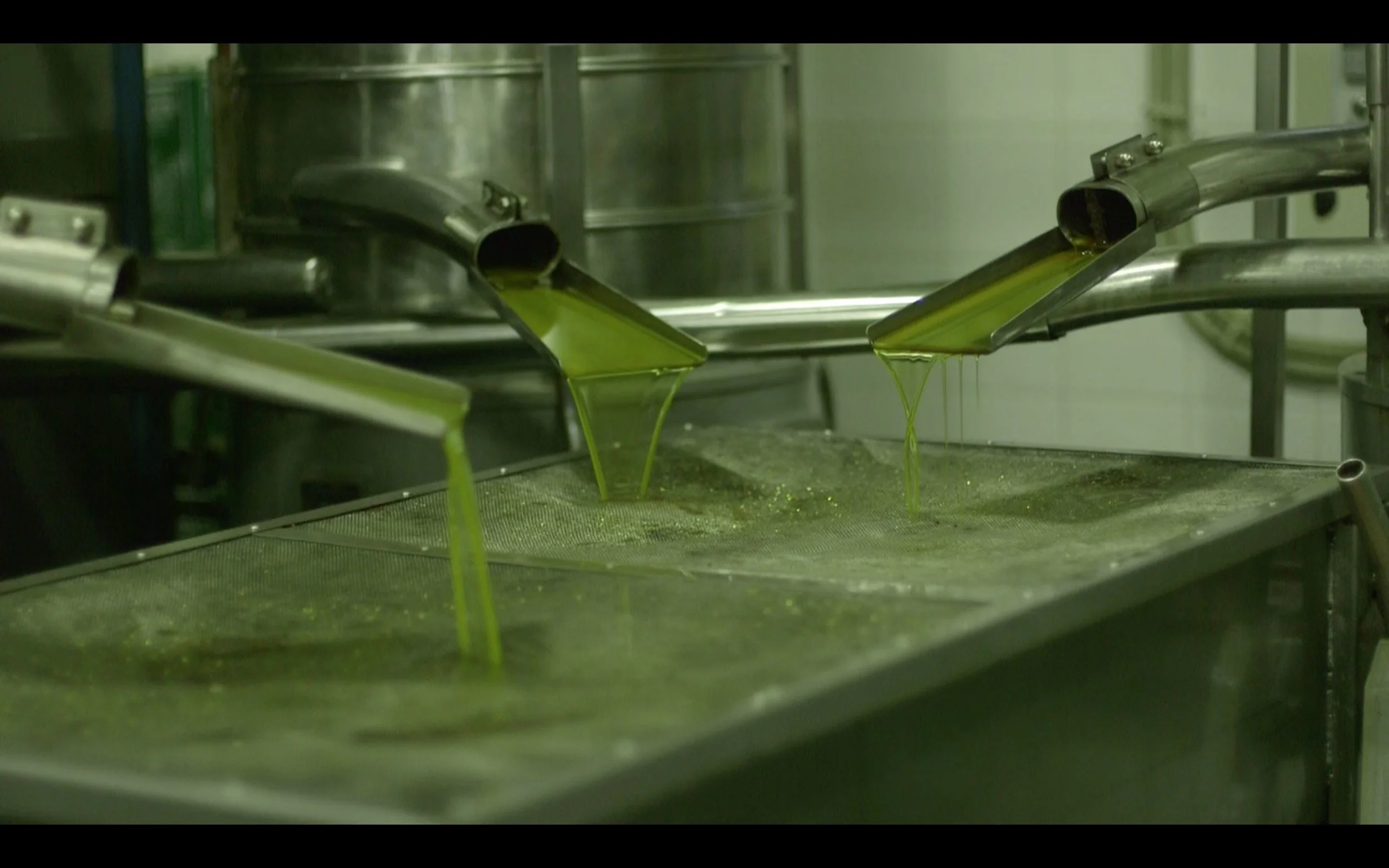 Just Pressed Oil.jpg