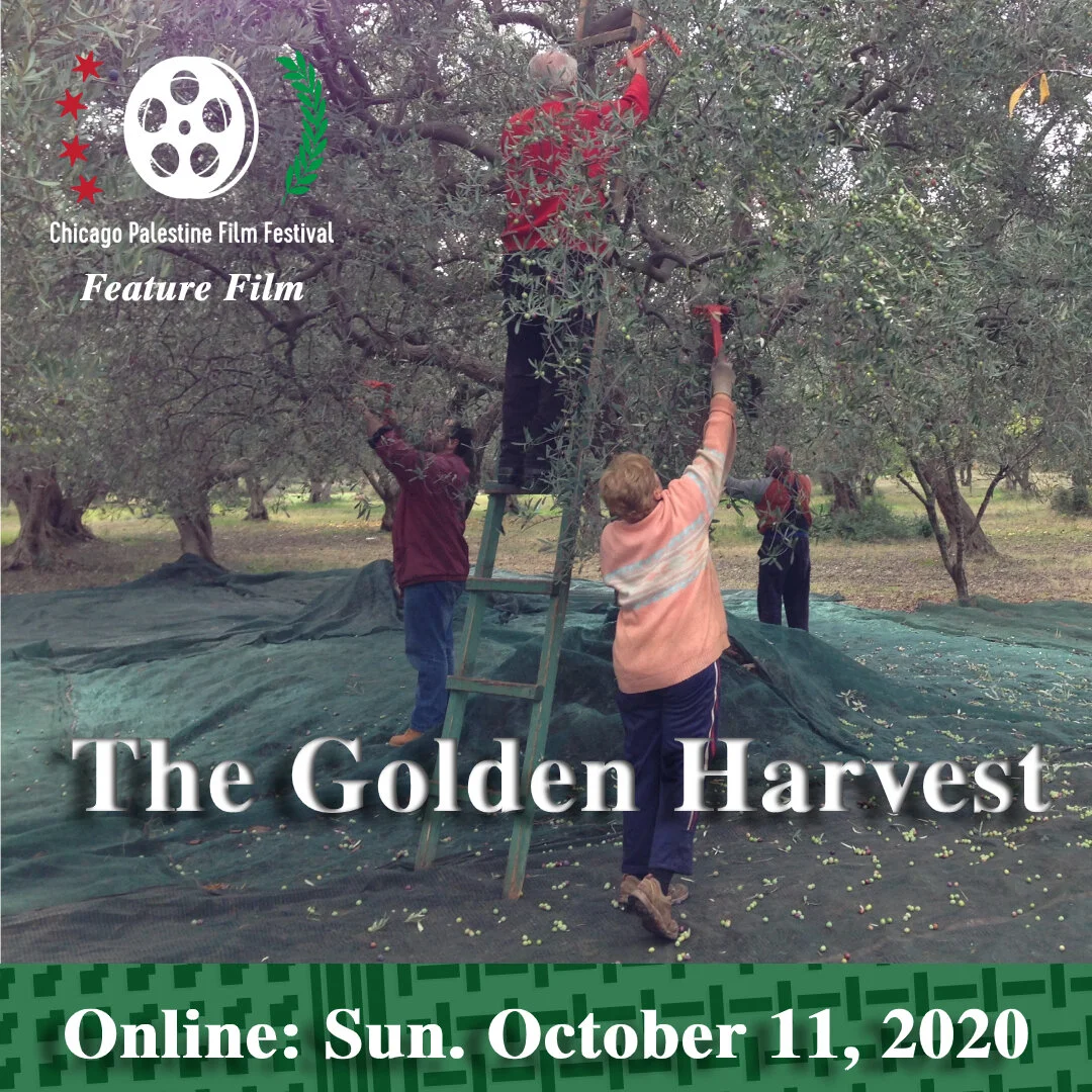 Feed Post The Golden Harvest.jpg