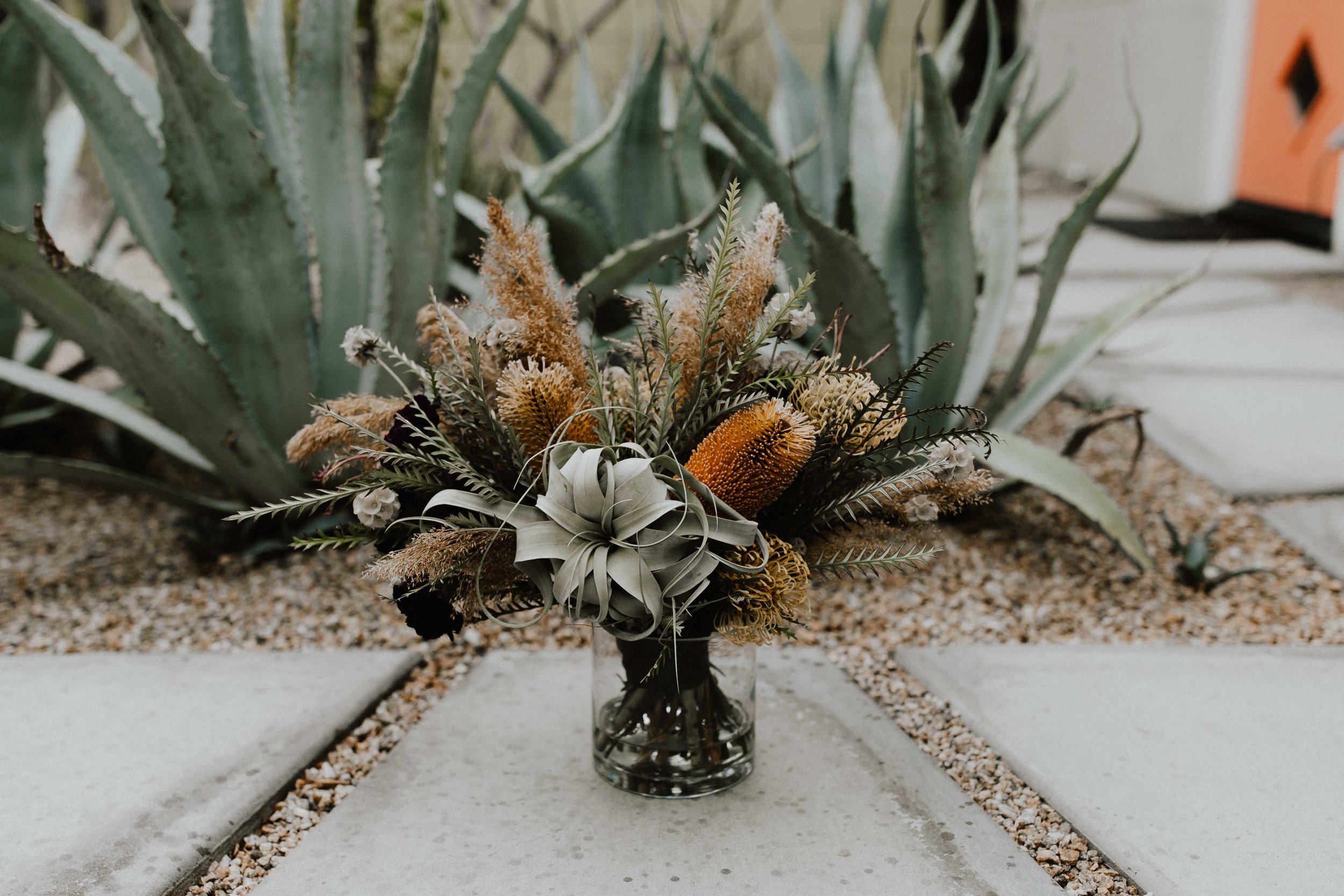 America Joshua Tree Palm Springs Elopement wedding-1.jpg