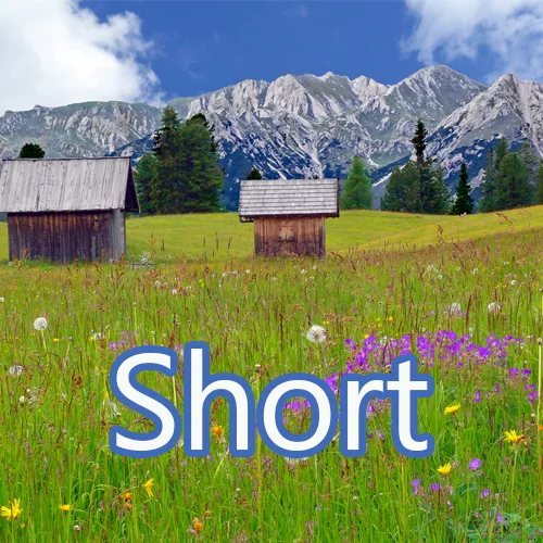 Short.jpg