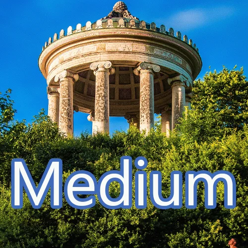 Medium.jpg