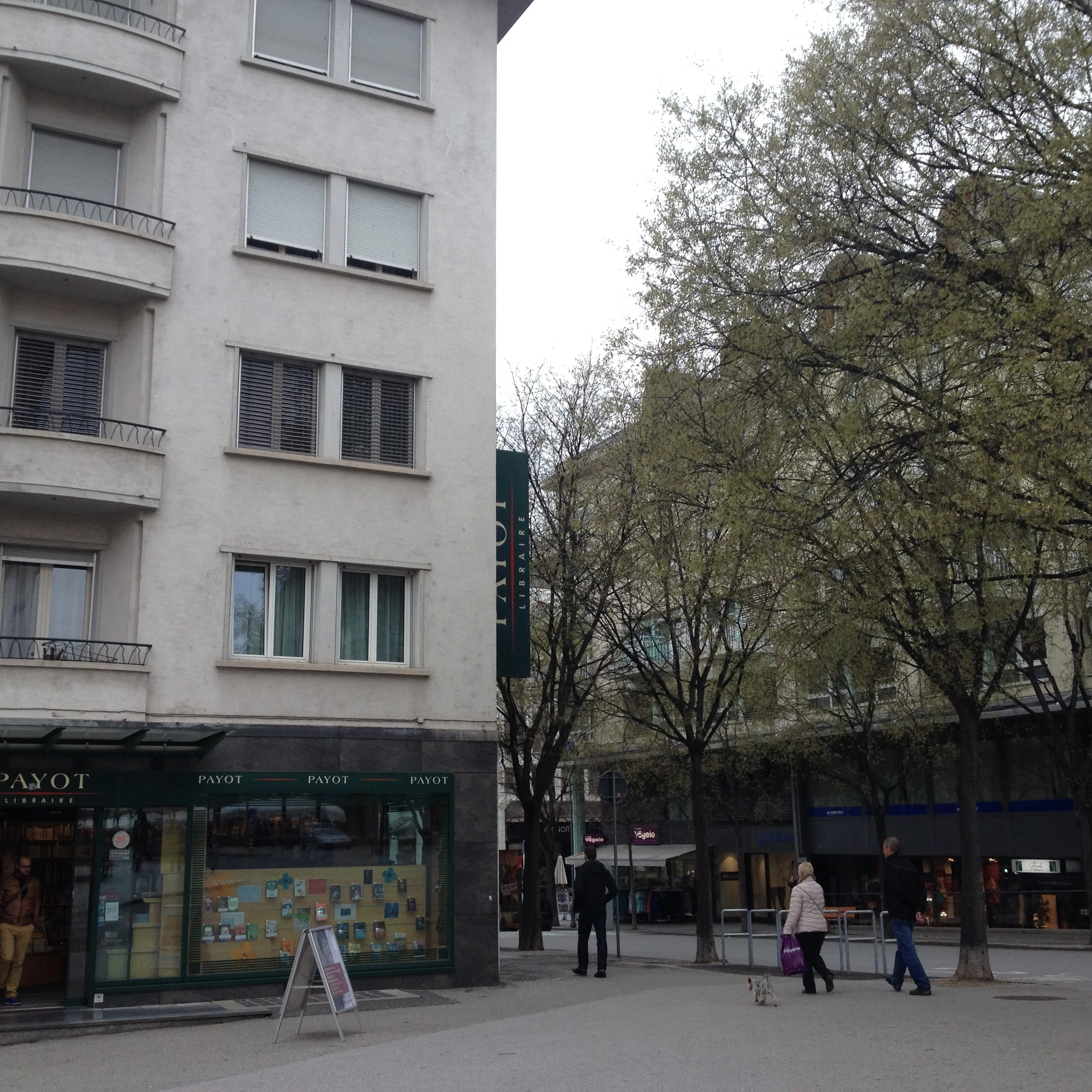 Fond de l'air rigoureux...