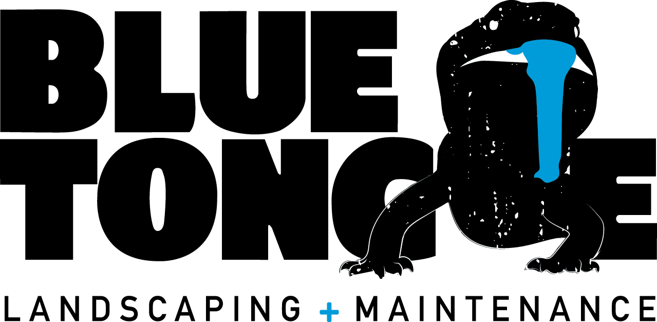Blue Tongue-Brand-Logo