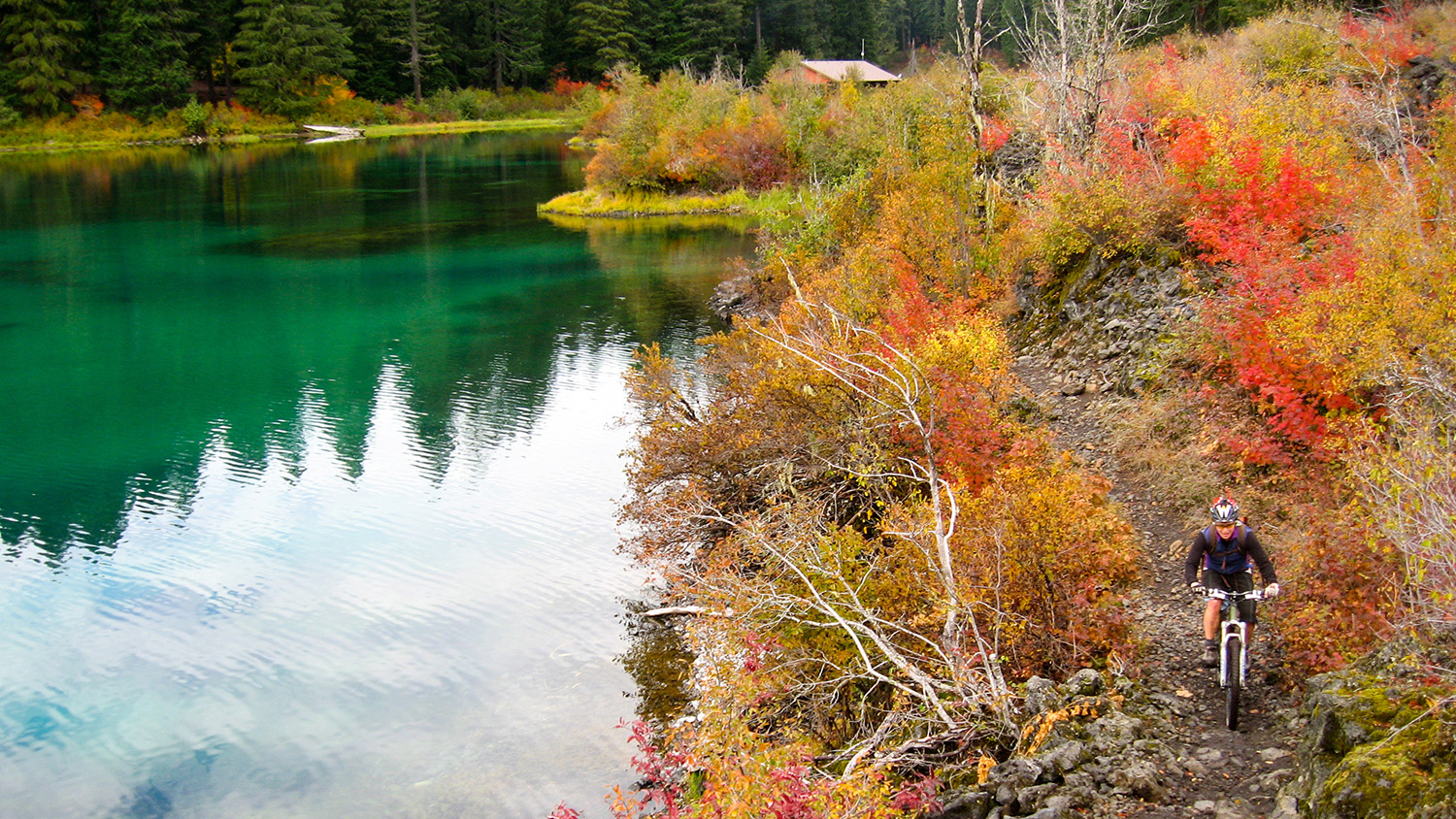 McKenzie River Trail, Oregon. 5 Mountain Biking Trails with Stunning Scenery in the USA - The Wayward Post.