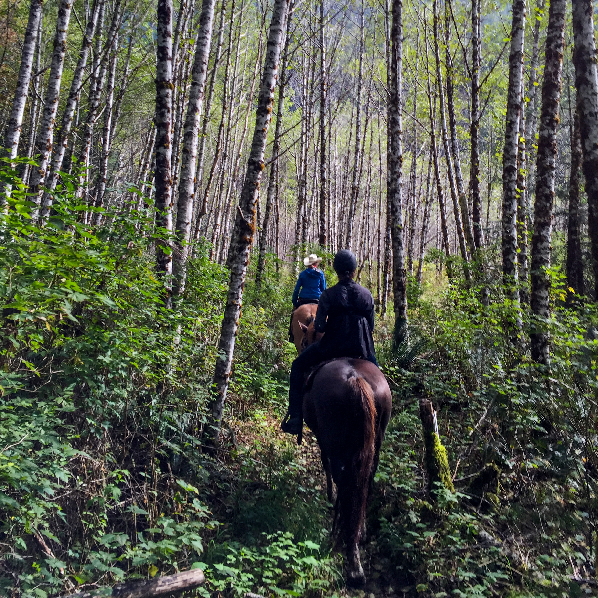 Horseback riding - Source Claudia Laroye