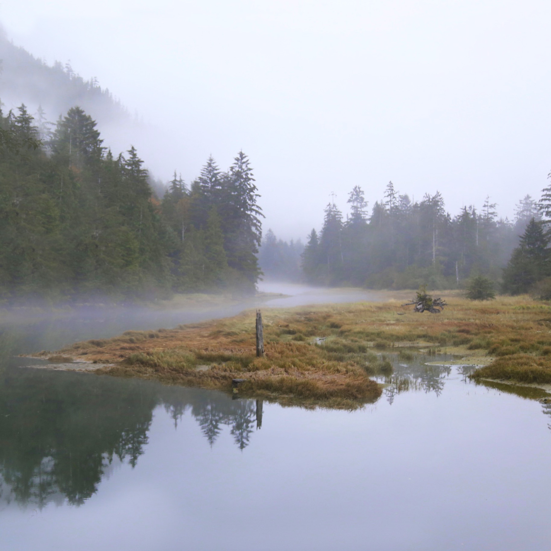 The Bedwell Estuary - Source Clayoquot Wilderness Resort