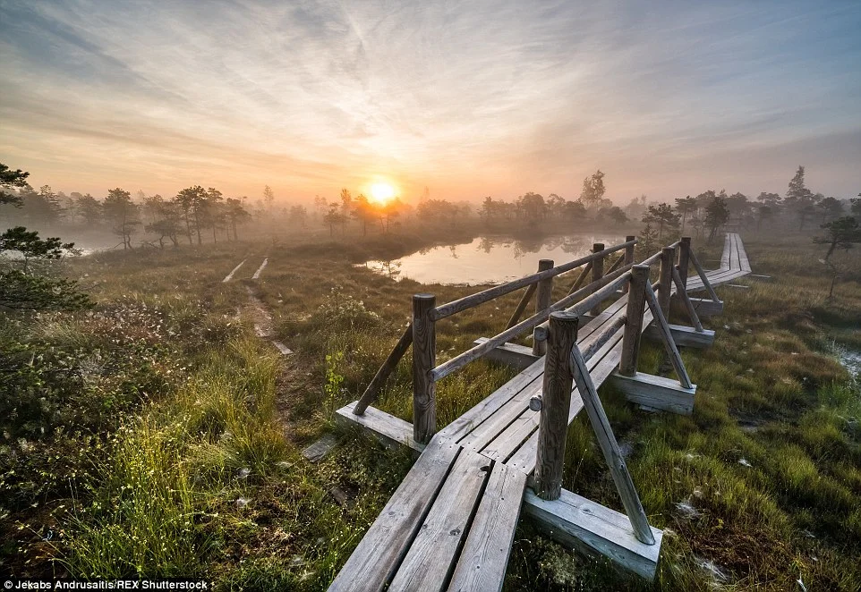 Kemeri Bog - Latvia