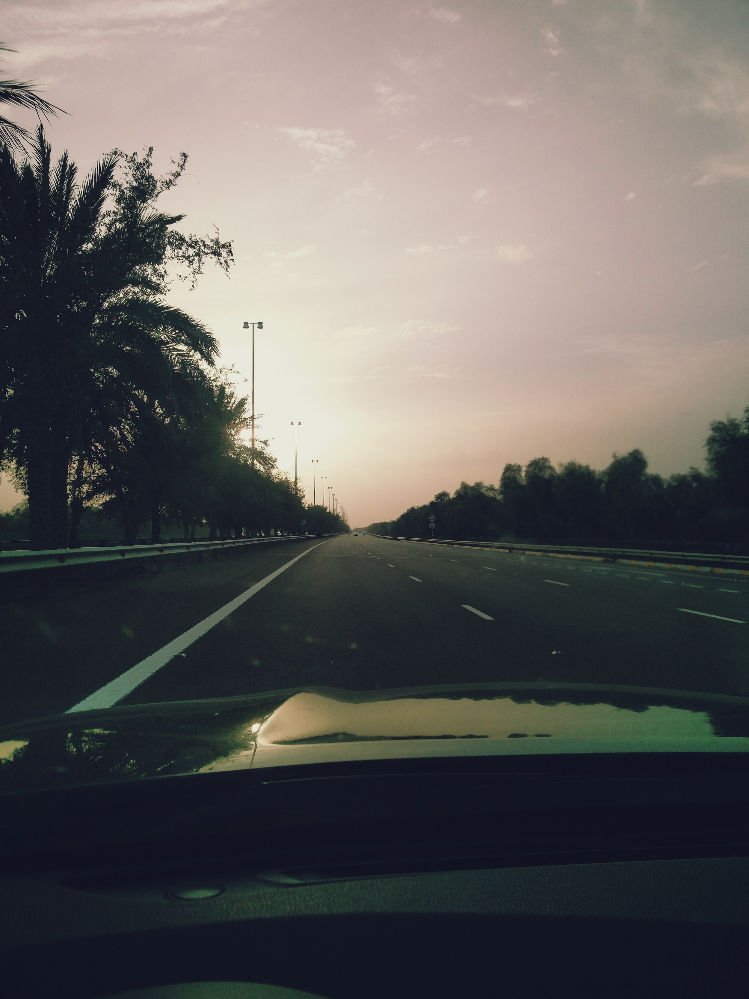 Week 10 - All the way from Al Ain
