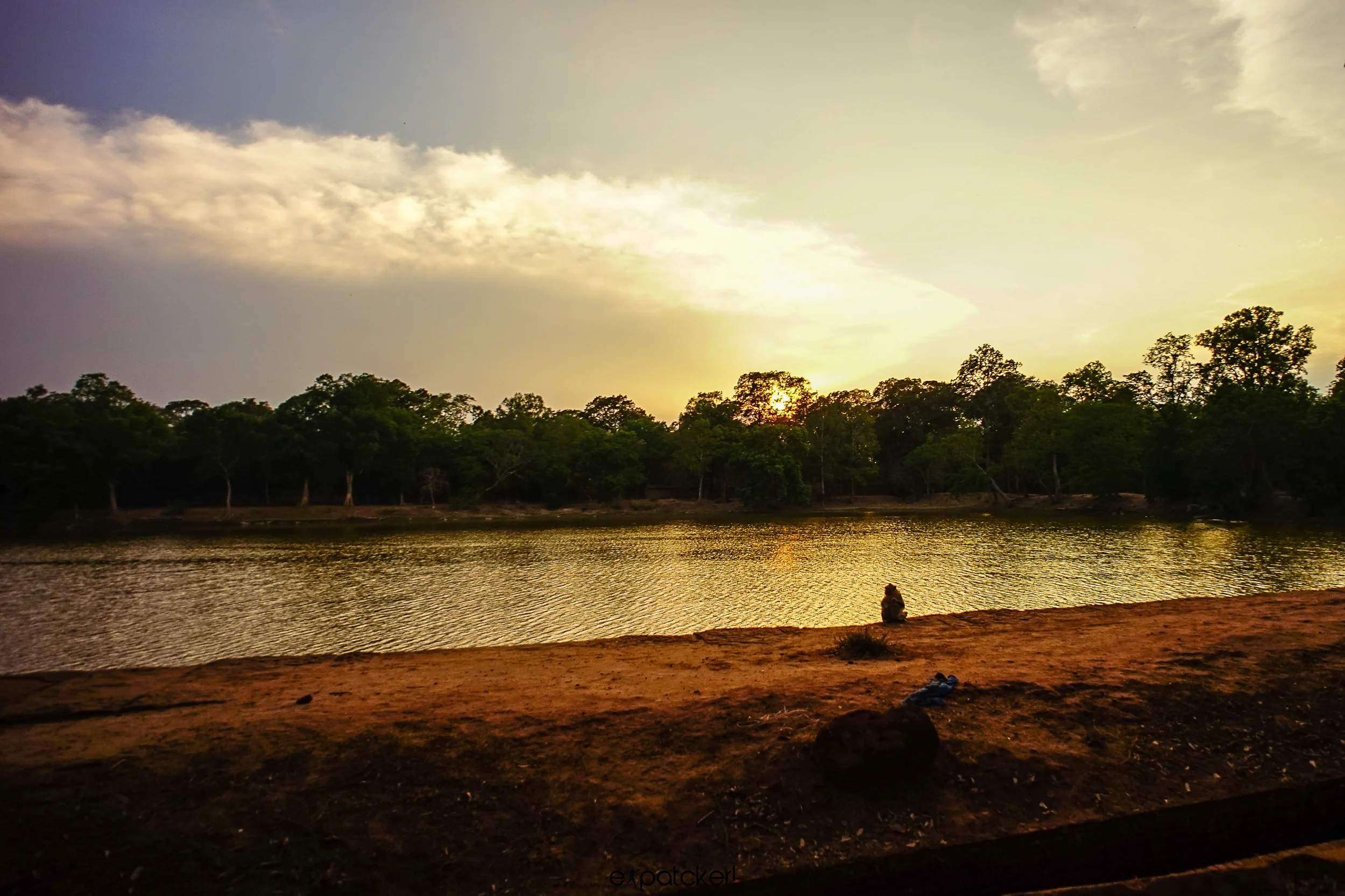 The monkey king. Sony A7 voightlander 15mm, 1/200 sec @f4.5 ISO 100