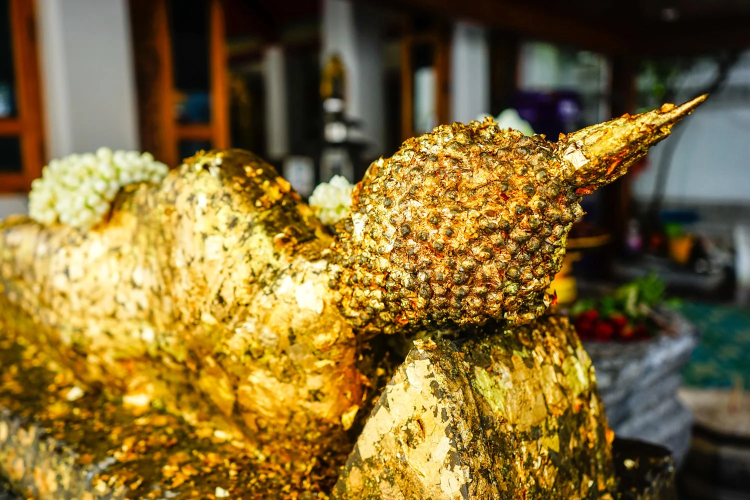 Gold everywhere!!! Sony a7, FE 28-70 @30mm f3.5 1/125 sec ISO 100